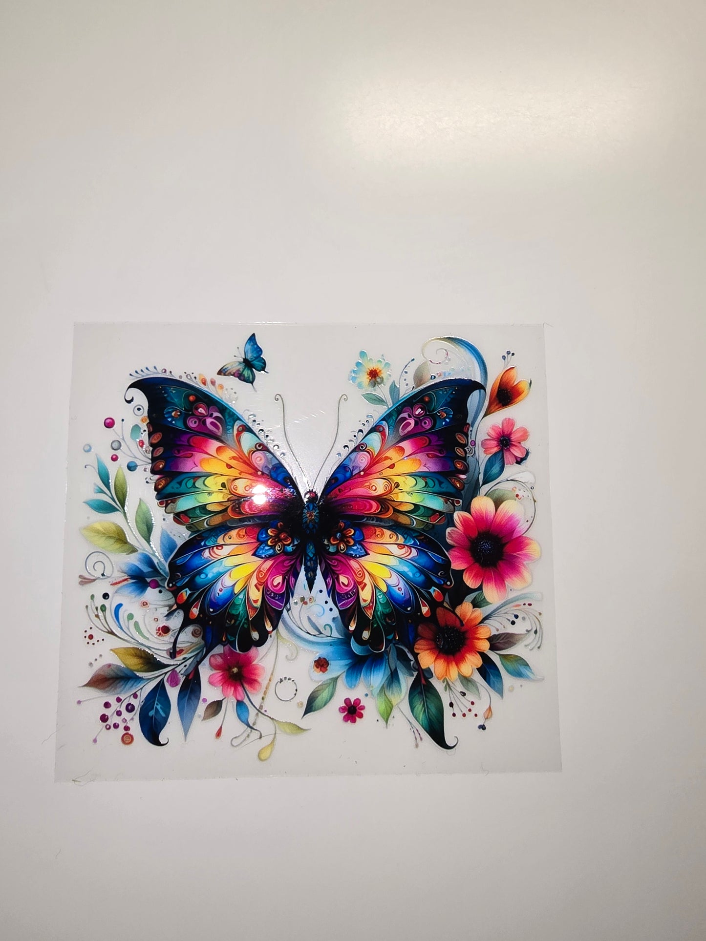 Rainbow Butterfly
