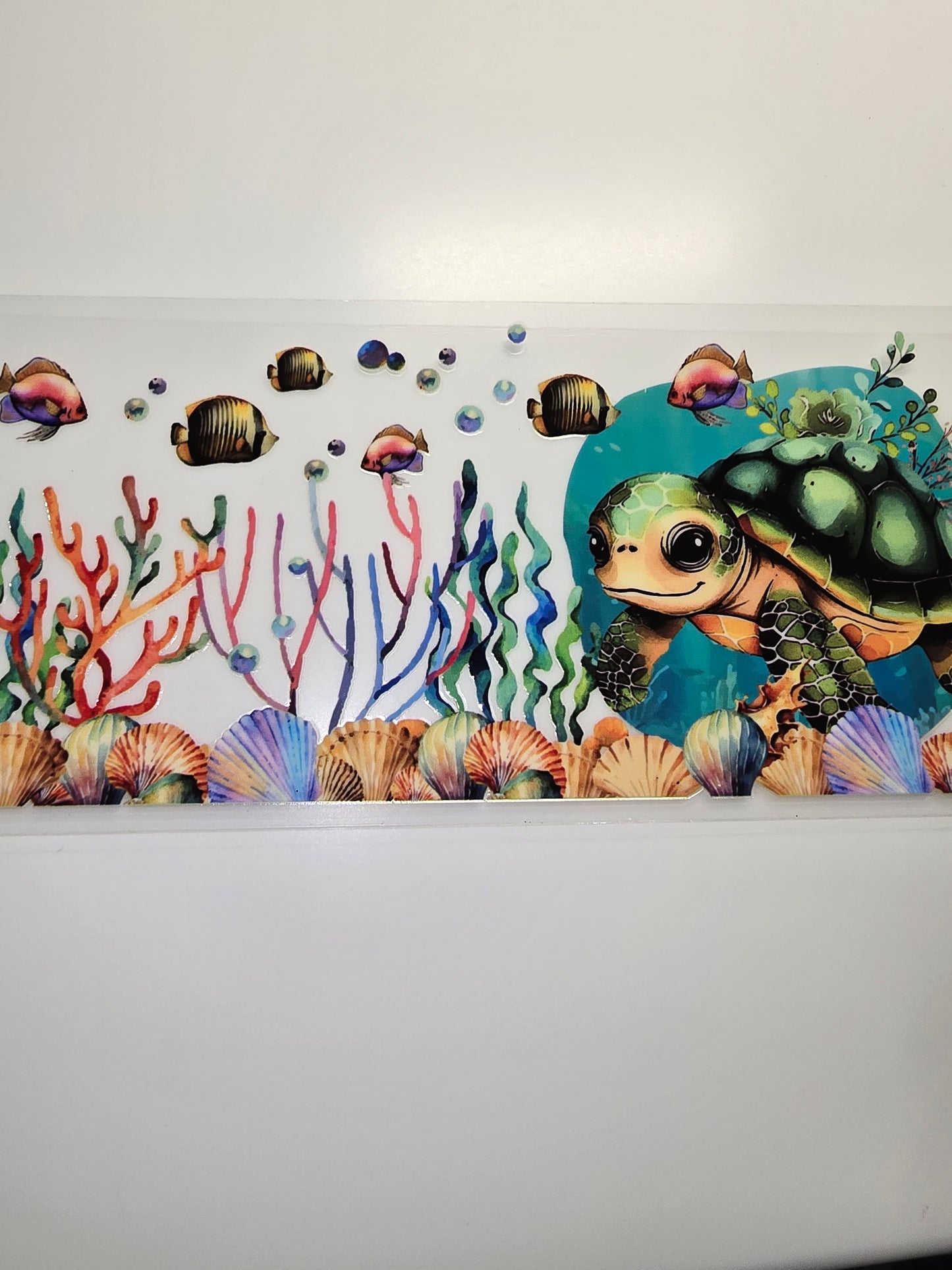 Turtle 5
