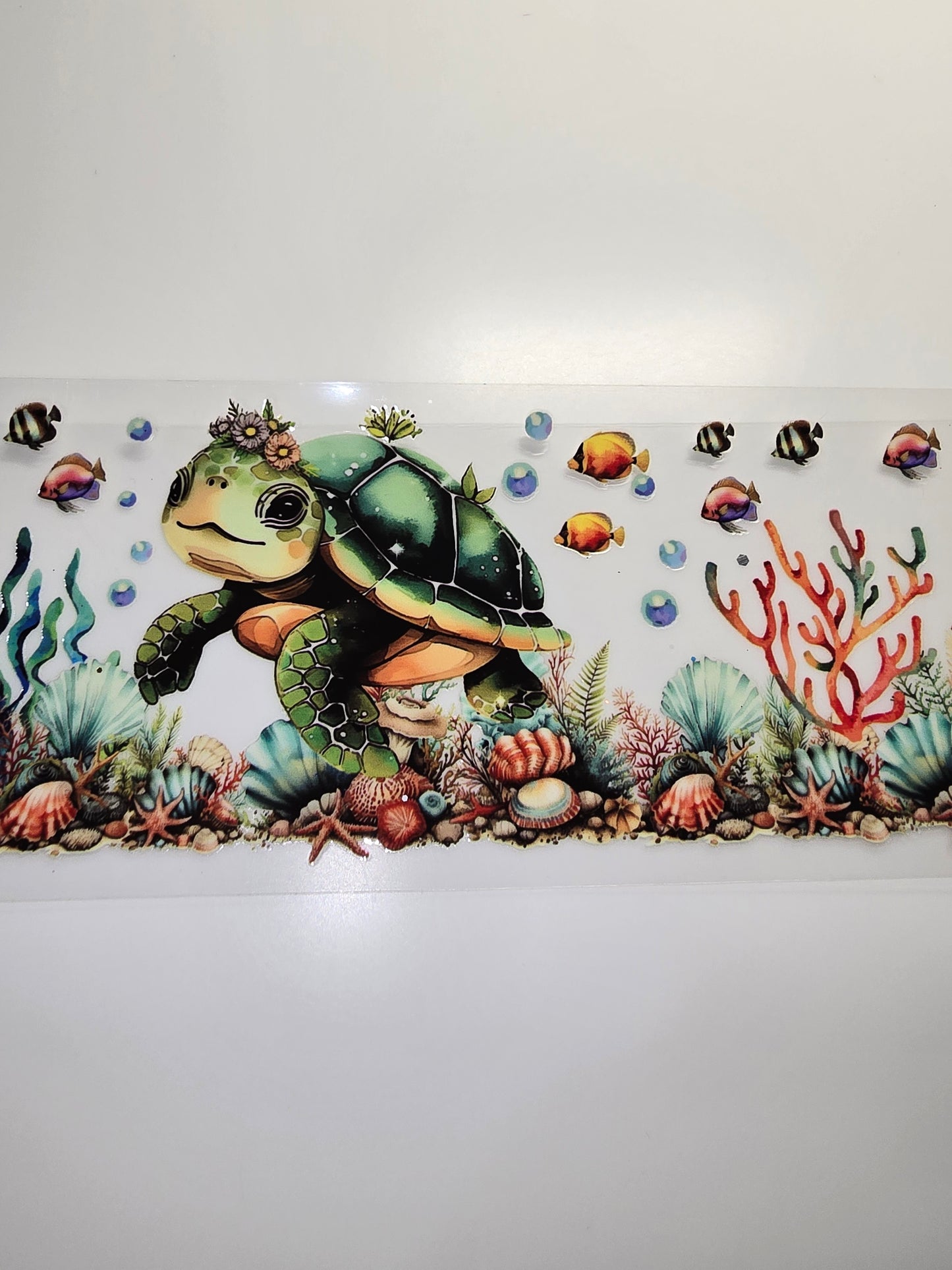 Turtle 1