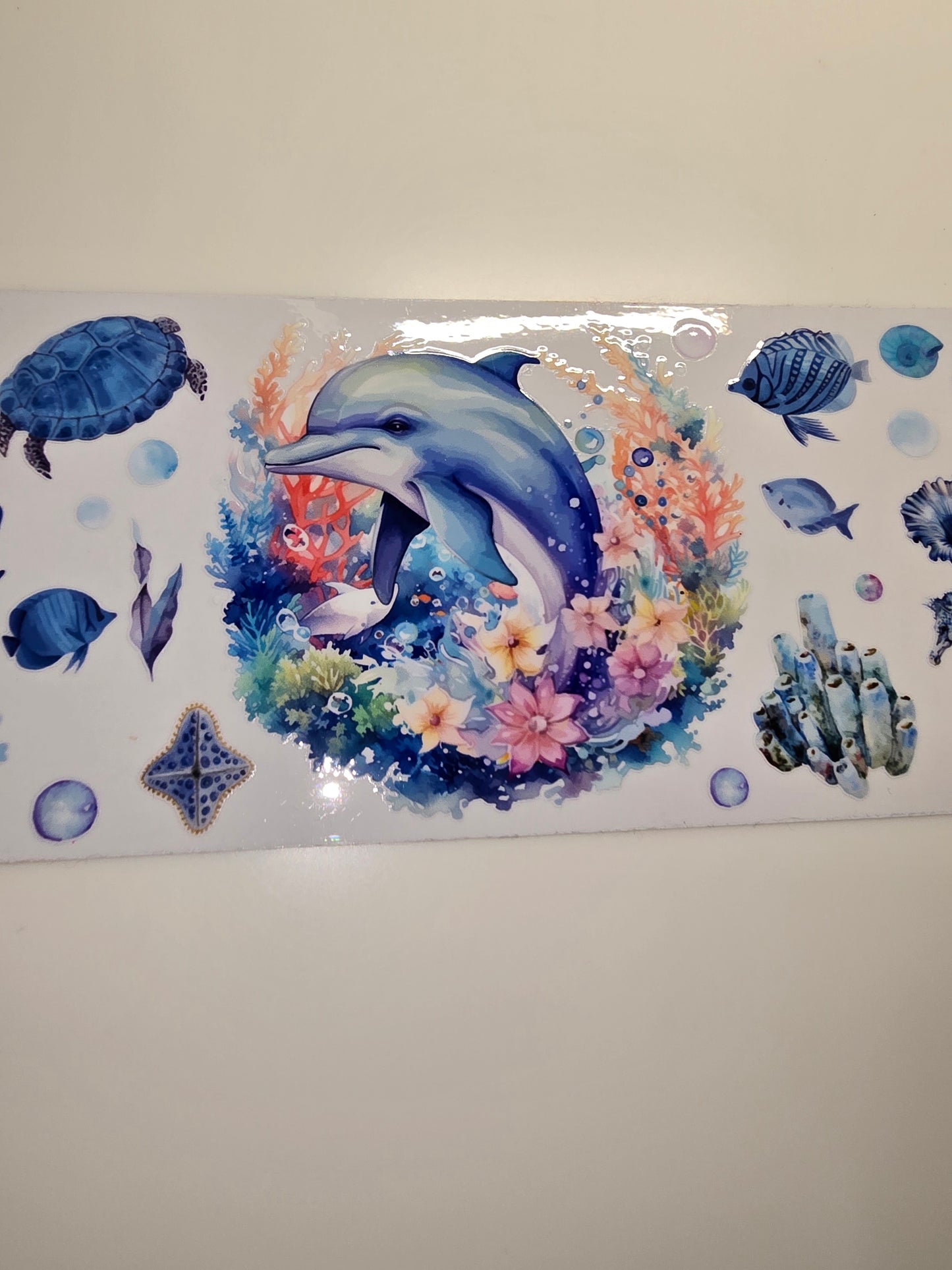 Dolphin & Under the Sea