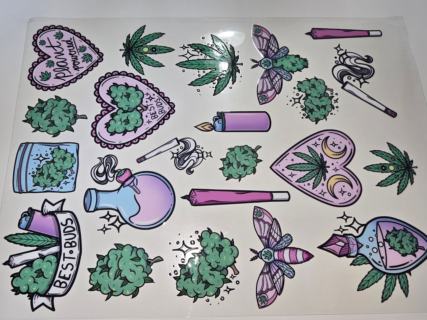 Cannabis