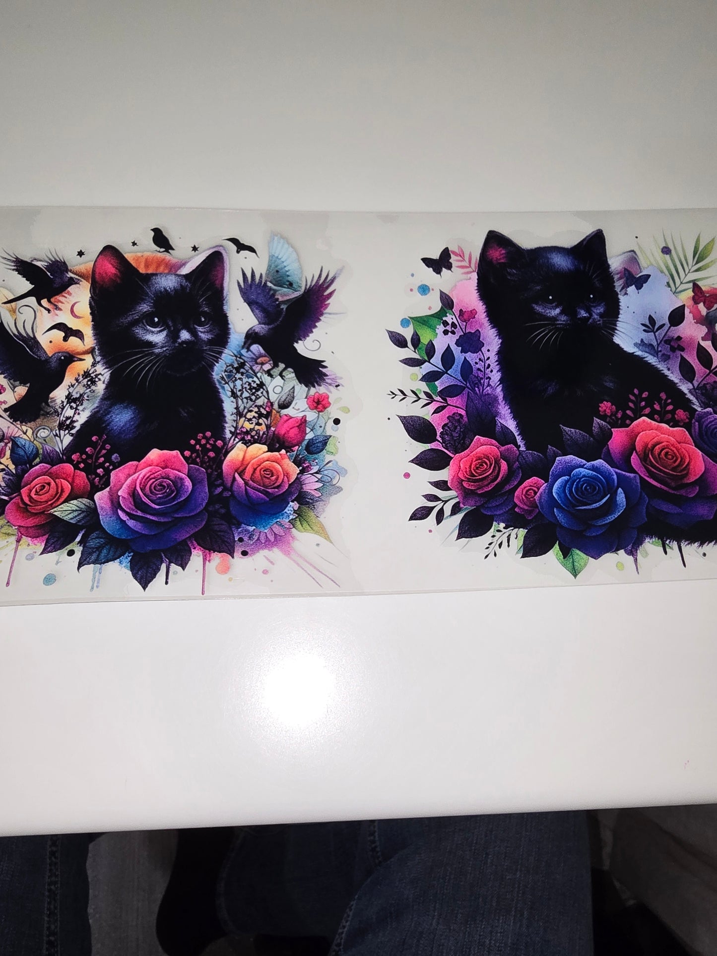 Black Kittens & Birds