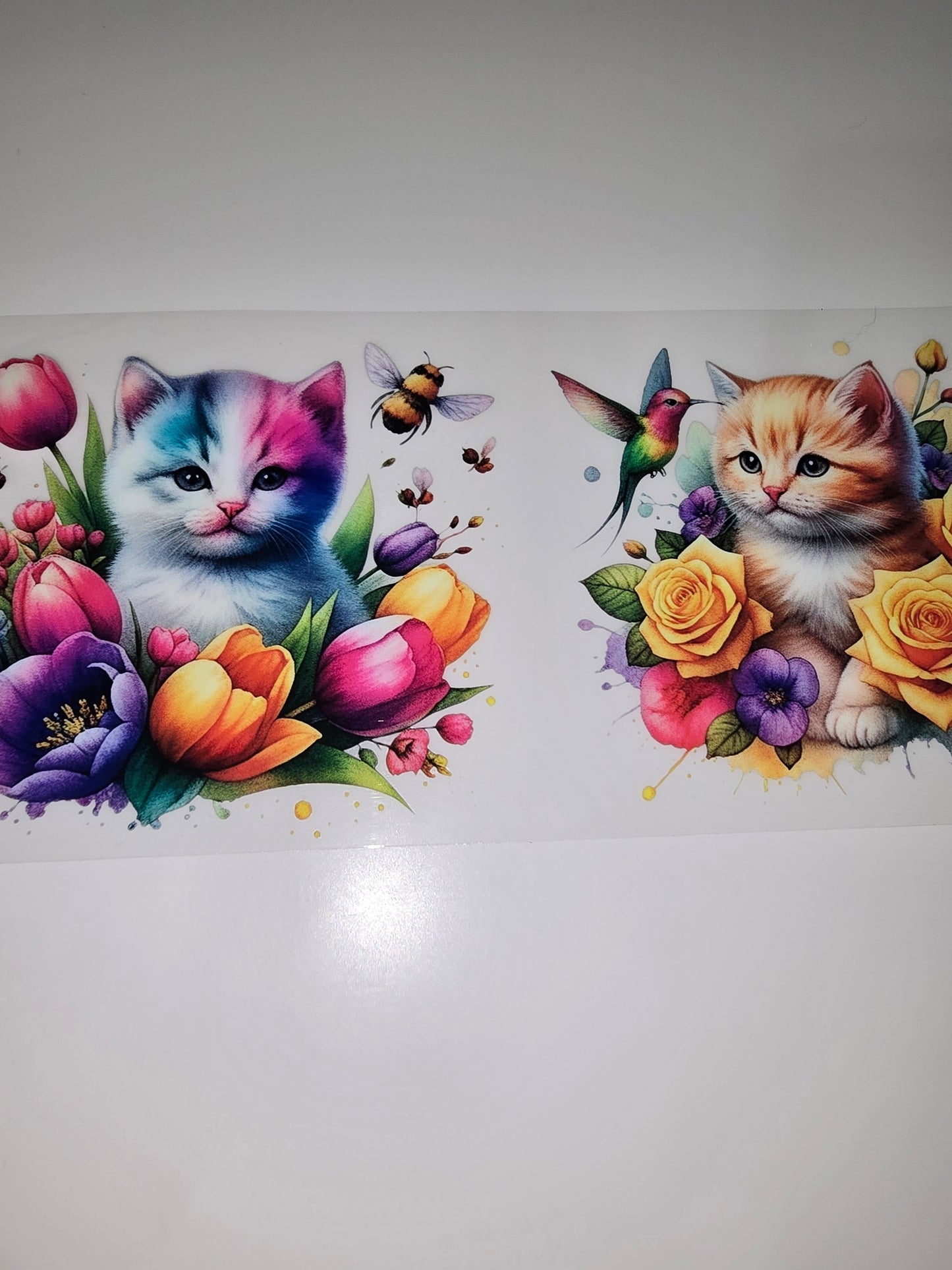 Kittens & Bumblebees