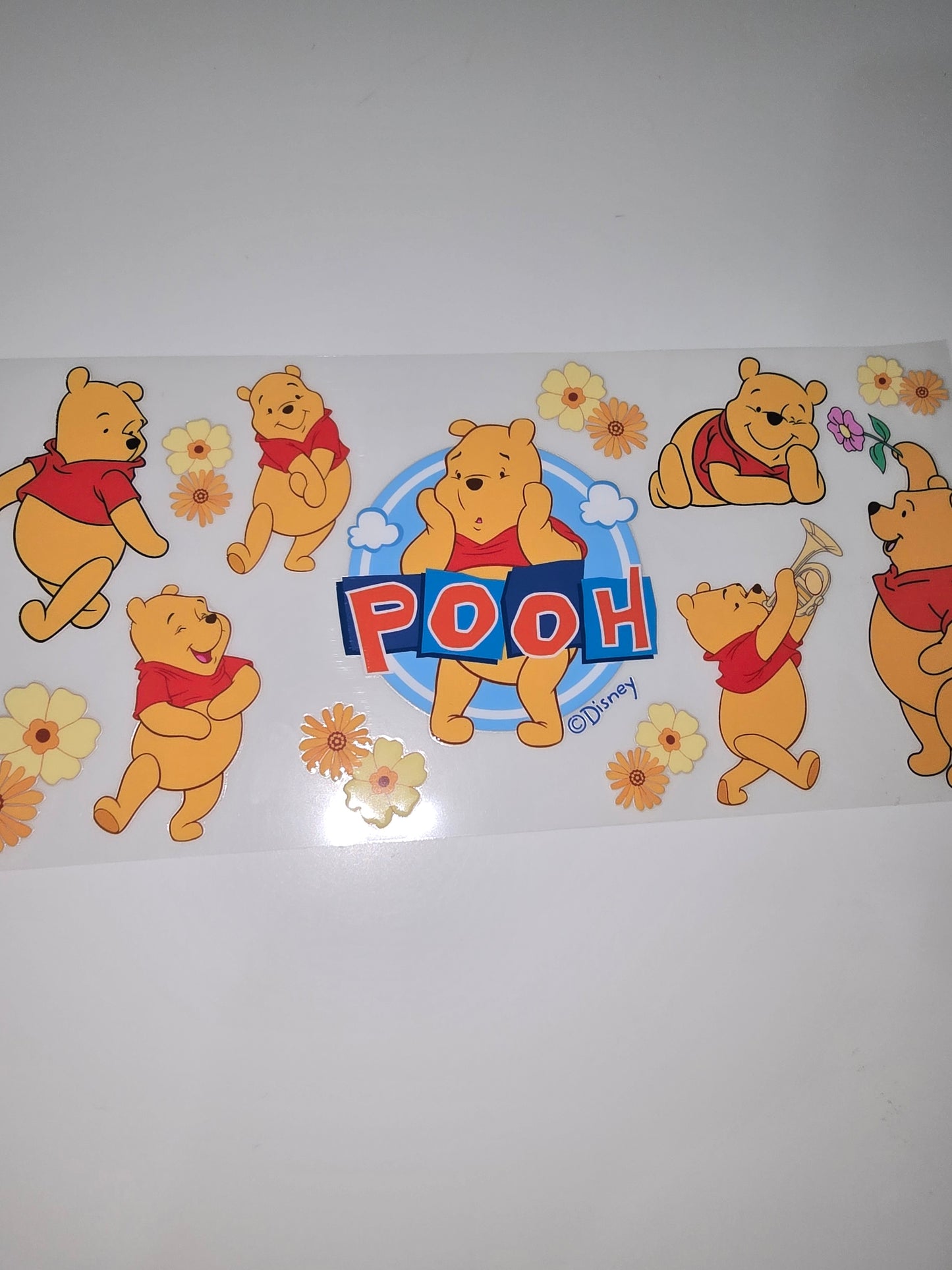 Bear who likes honey