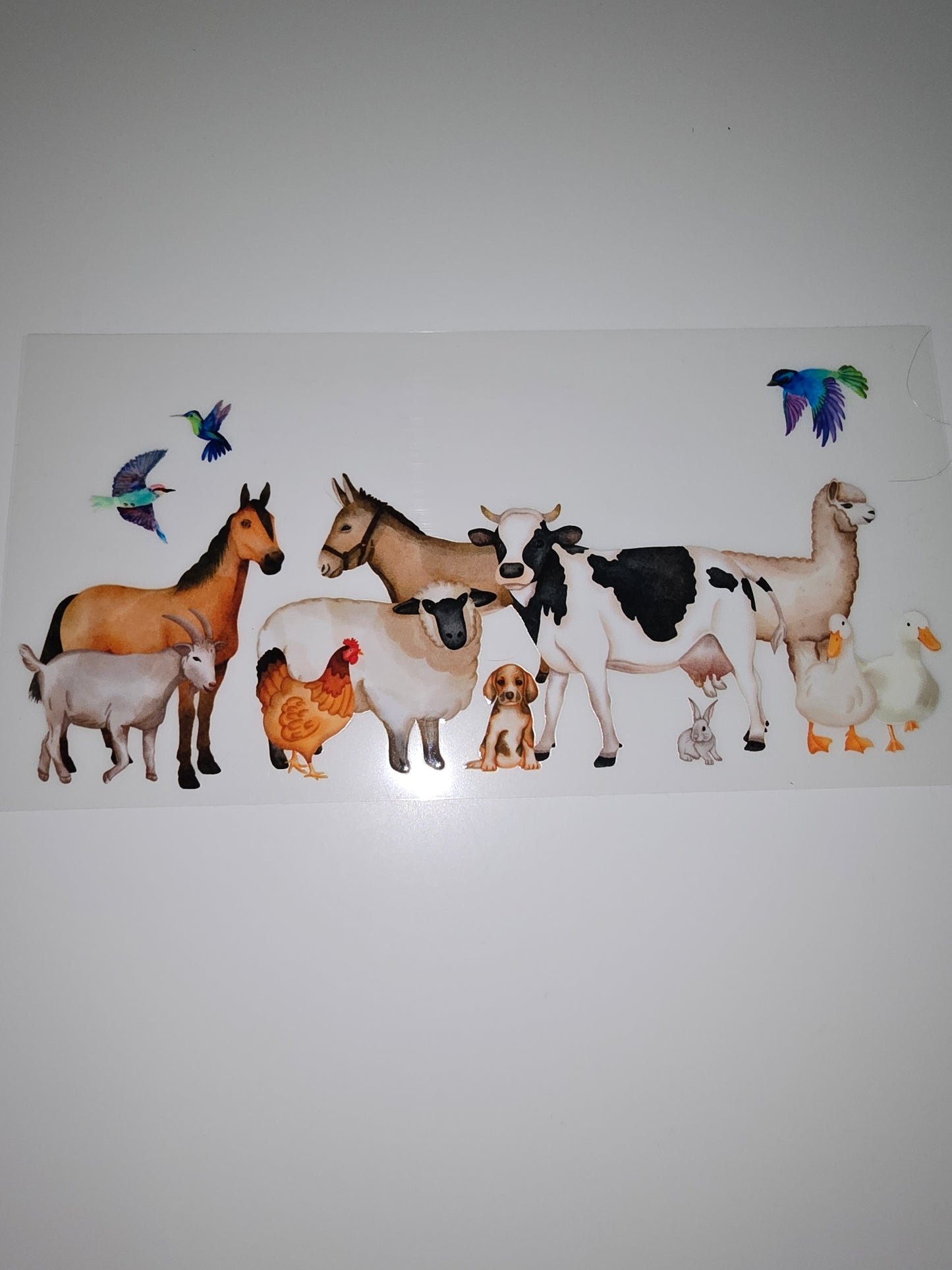 Horses, Chickens