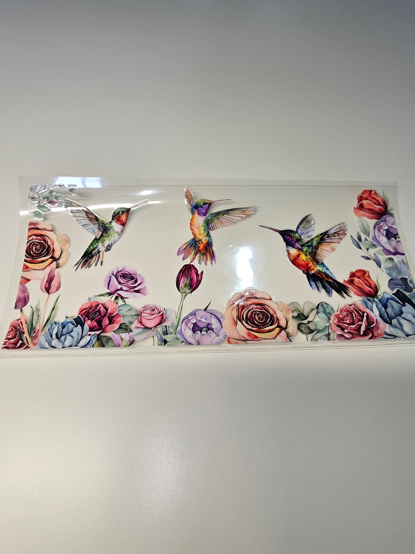 Hummingbird 4
