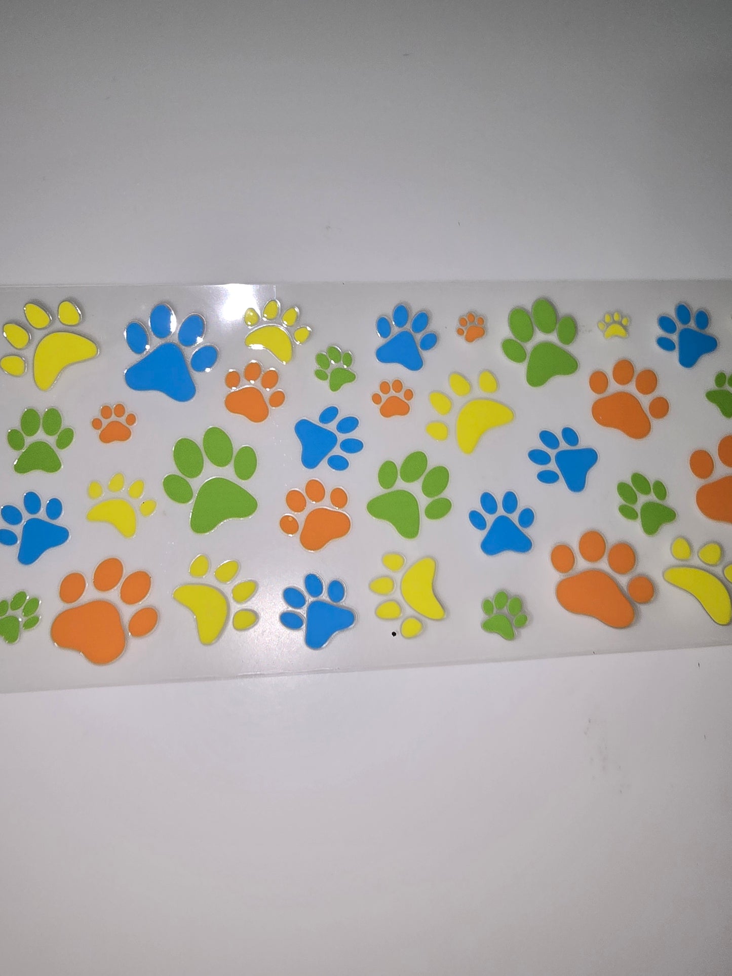 Green, yellow, blue, orange paw prints