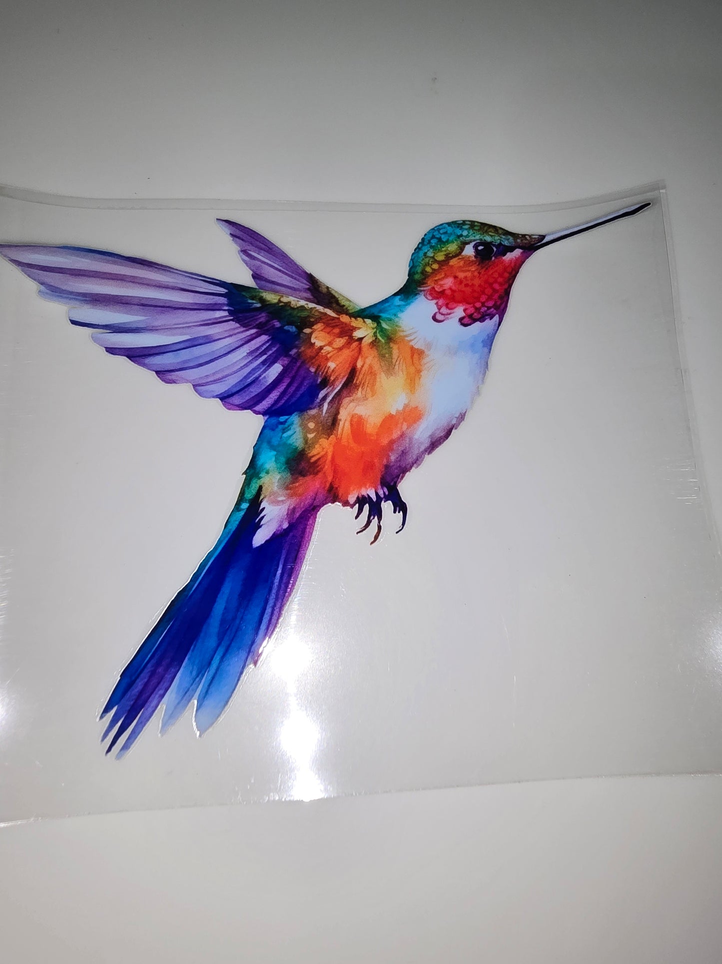 Single Hummingbird