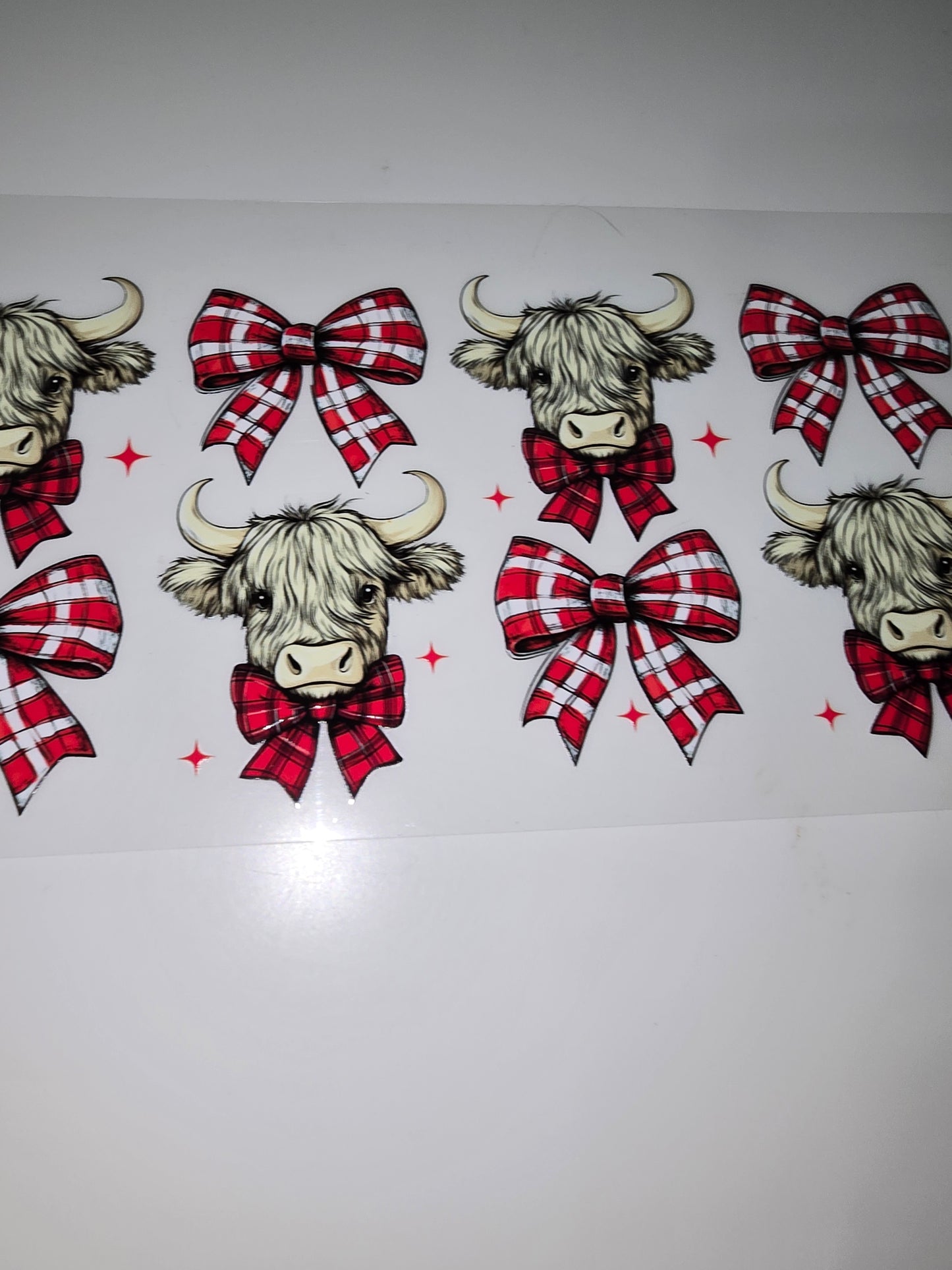 Cows & Bows
