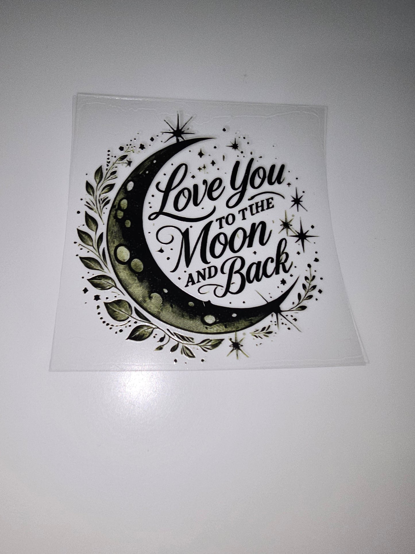 Love you to the moon and back