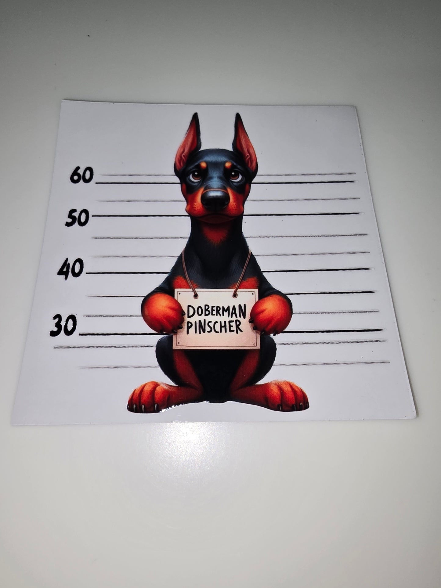 Doberman mug shot