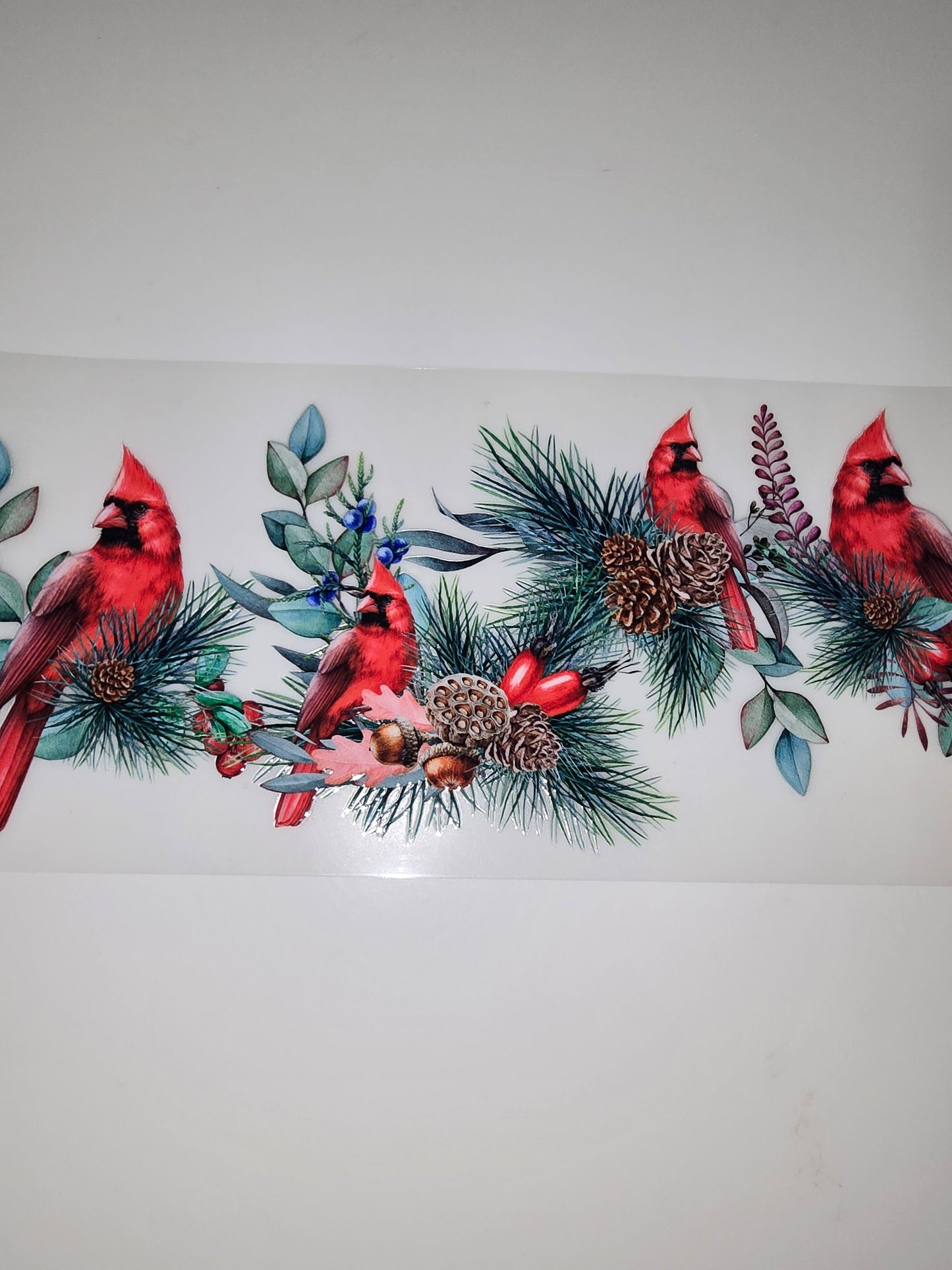 Cardinal family