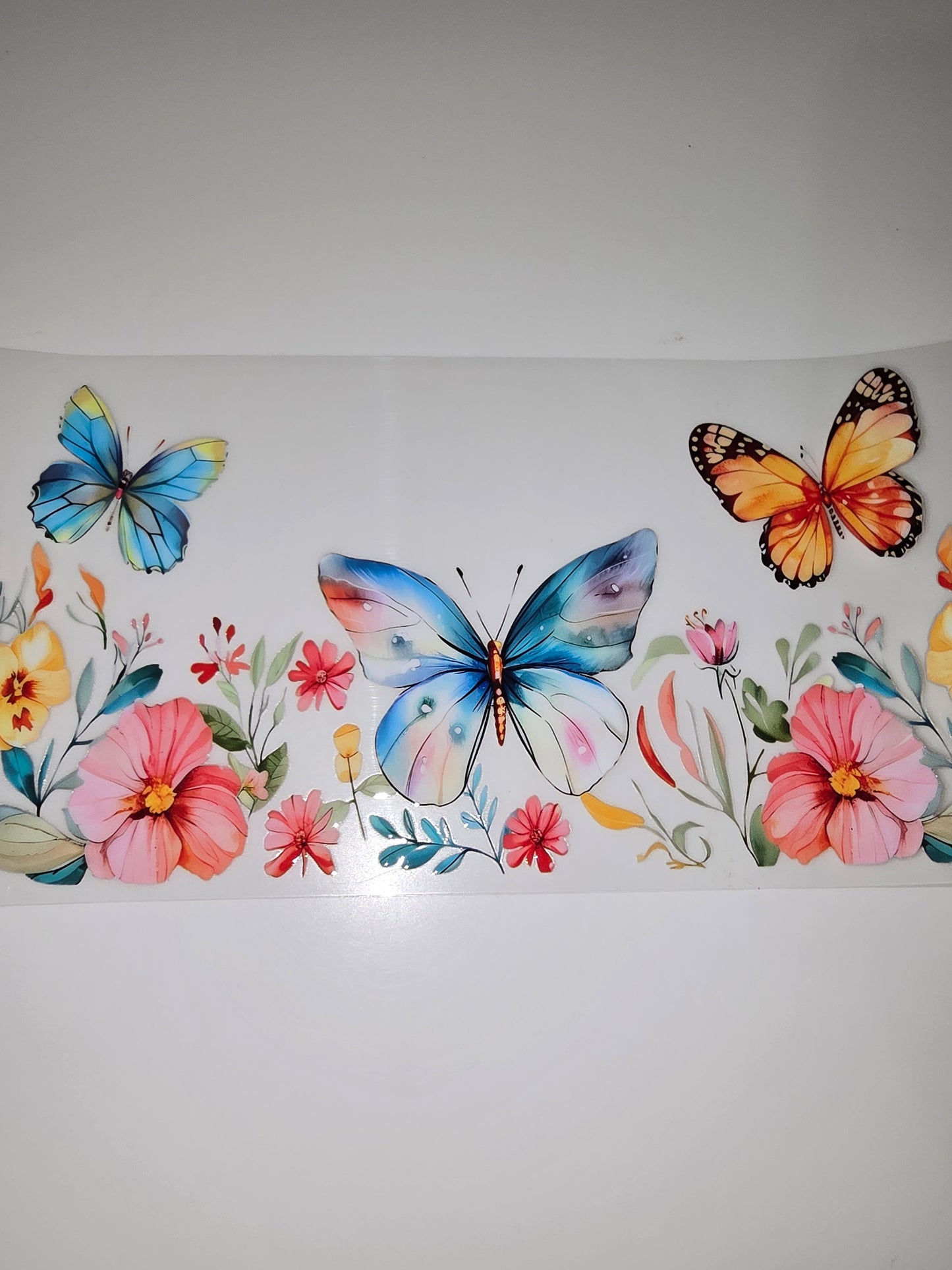 Big Butterflies