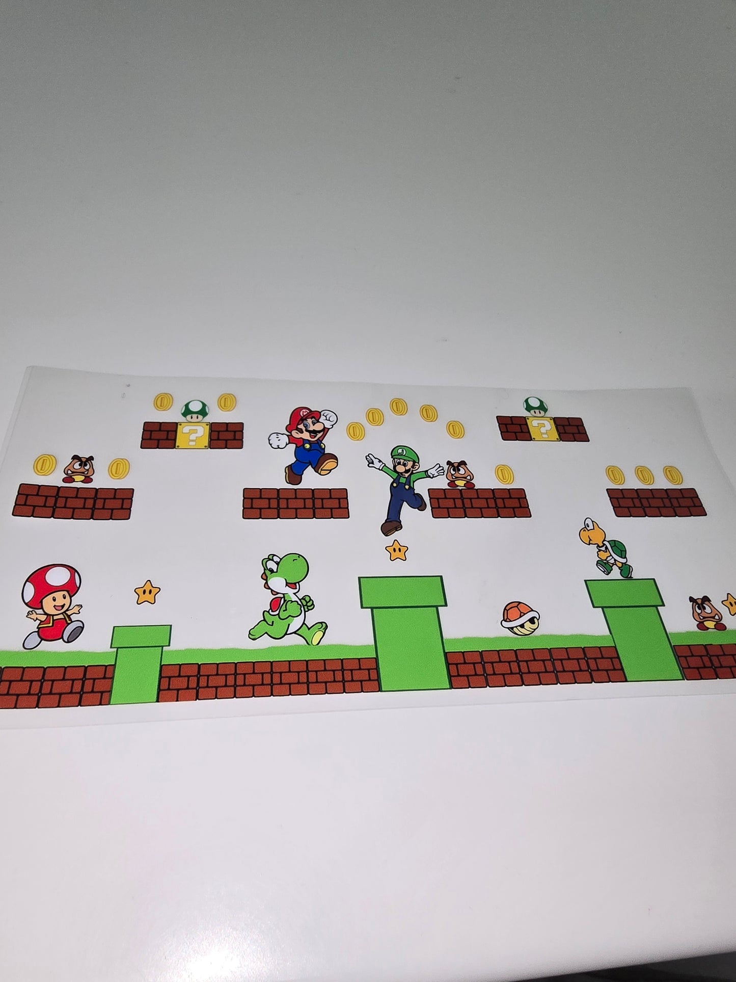 Mario & Luigi