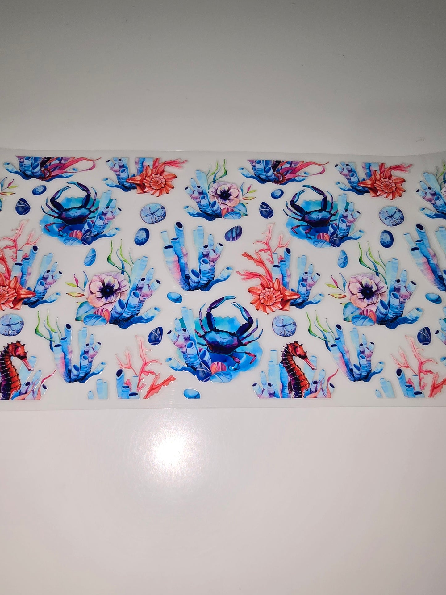 Crabs & Coral Reef