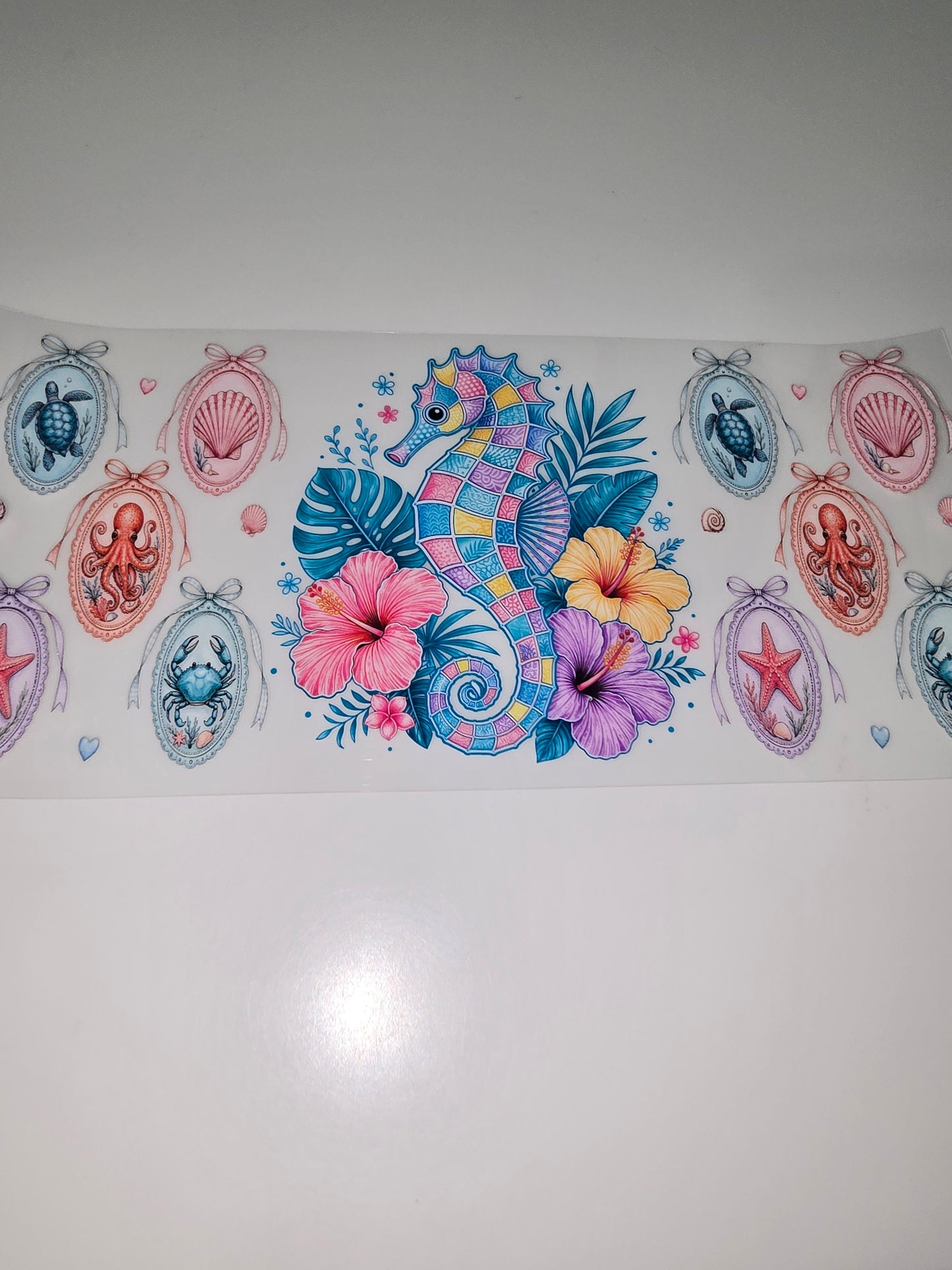 Seahorse & Family Pics