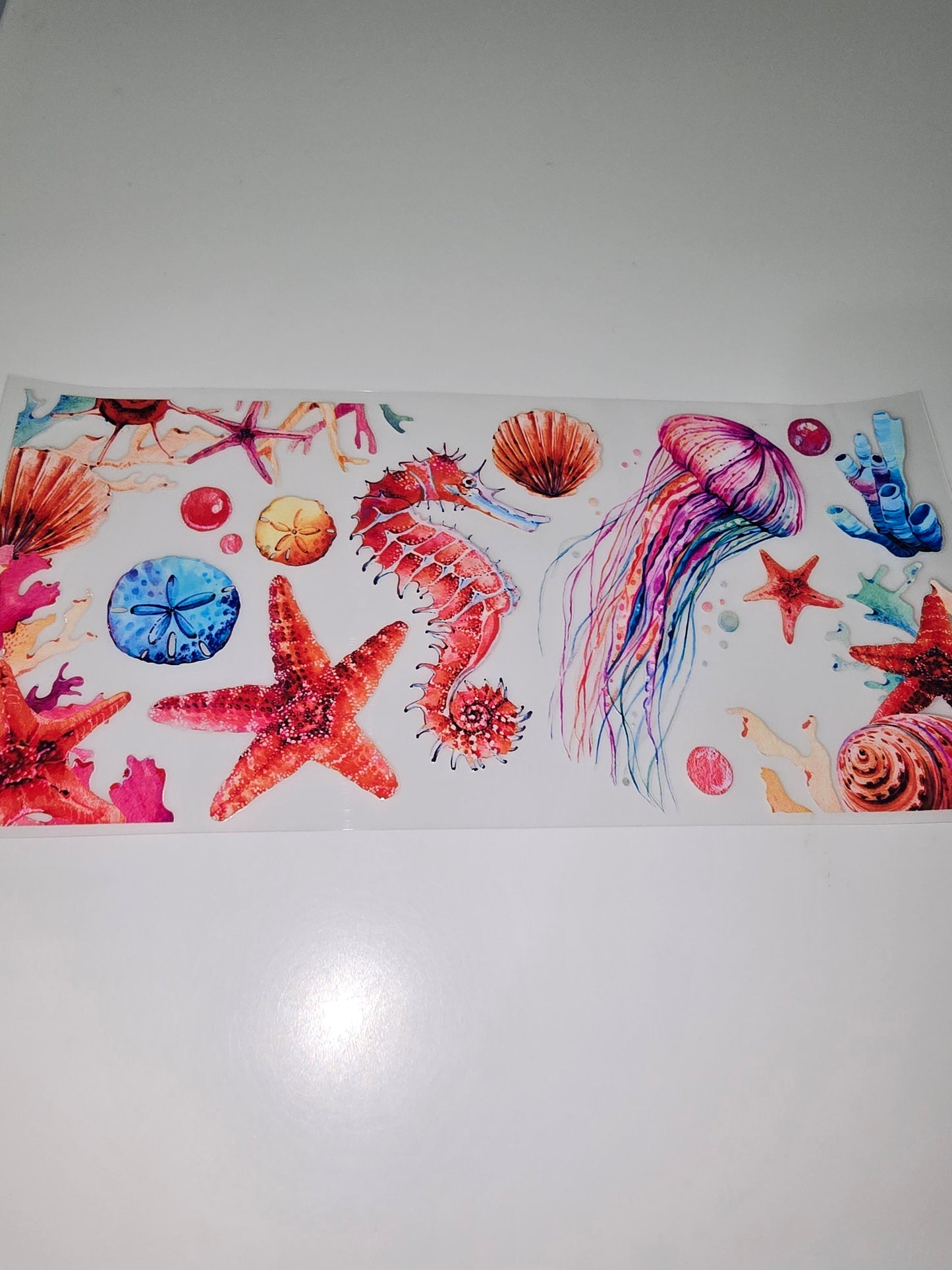 Ocean Life 2