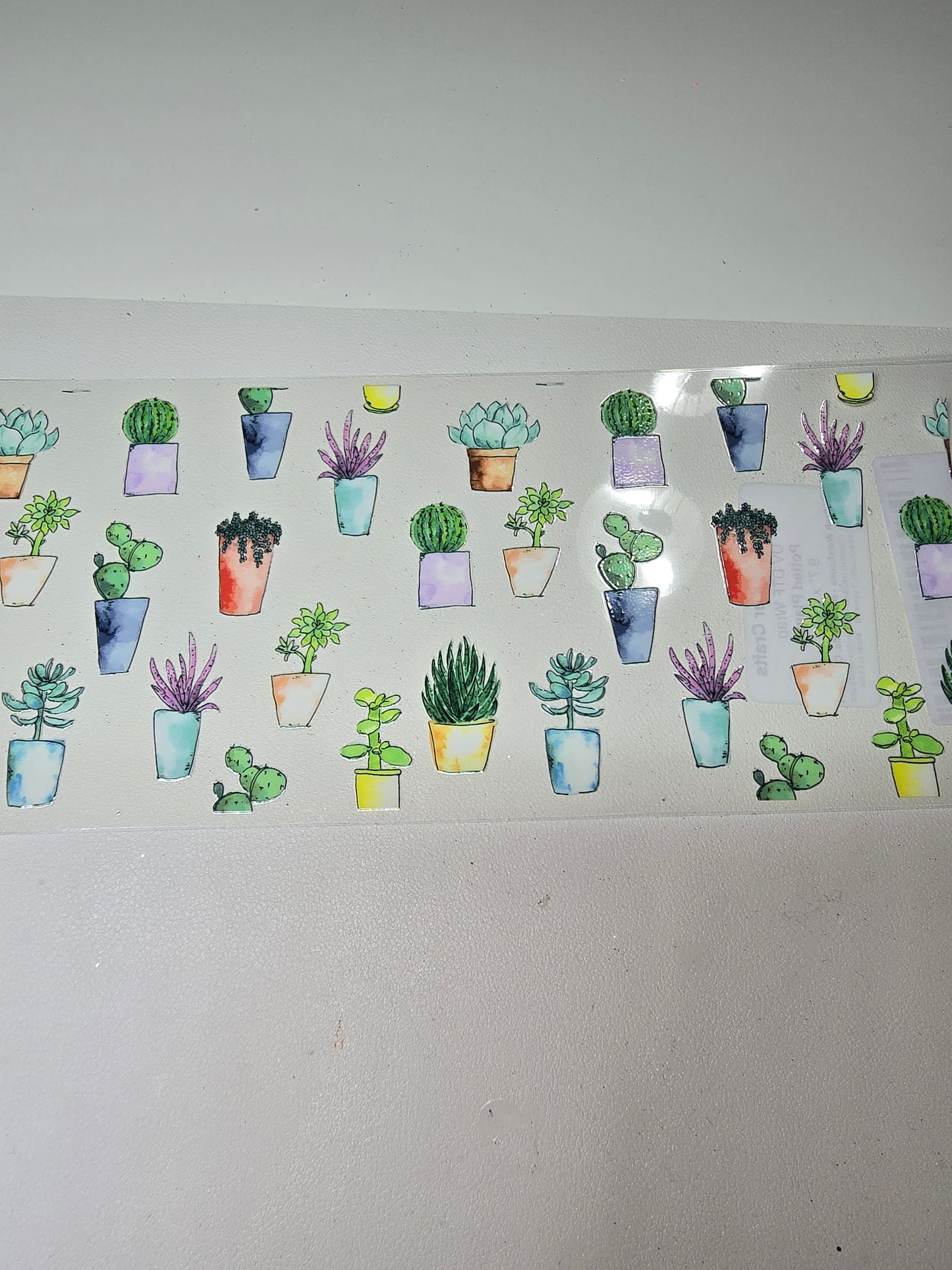 Succulents