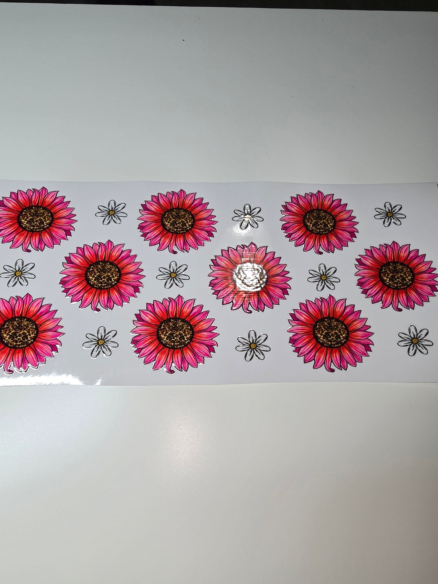 Pink Sunflowers