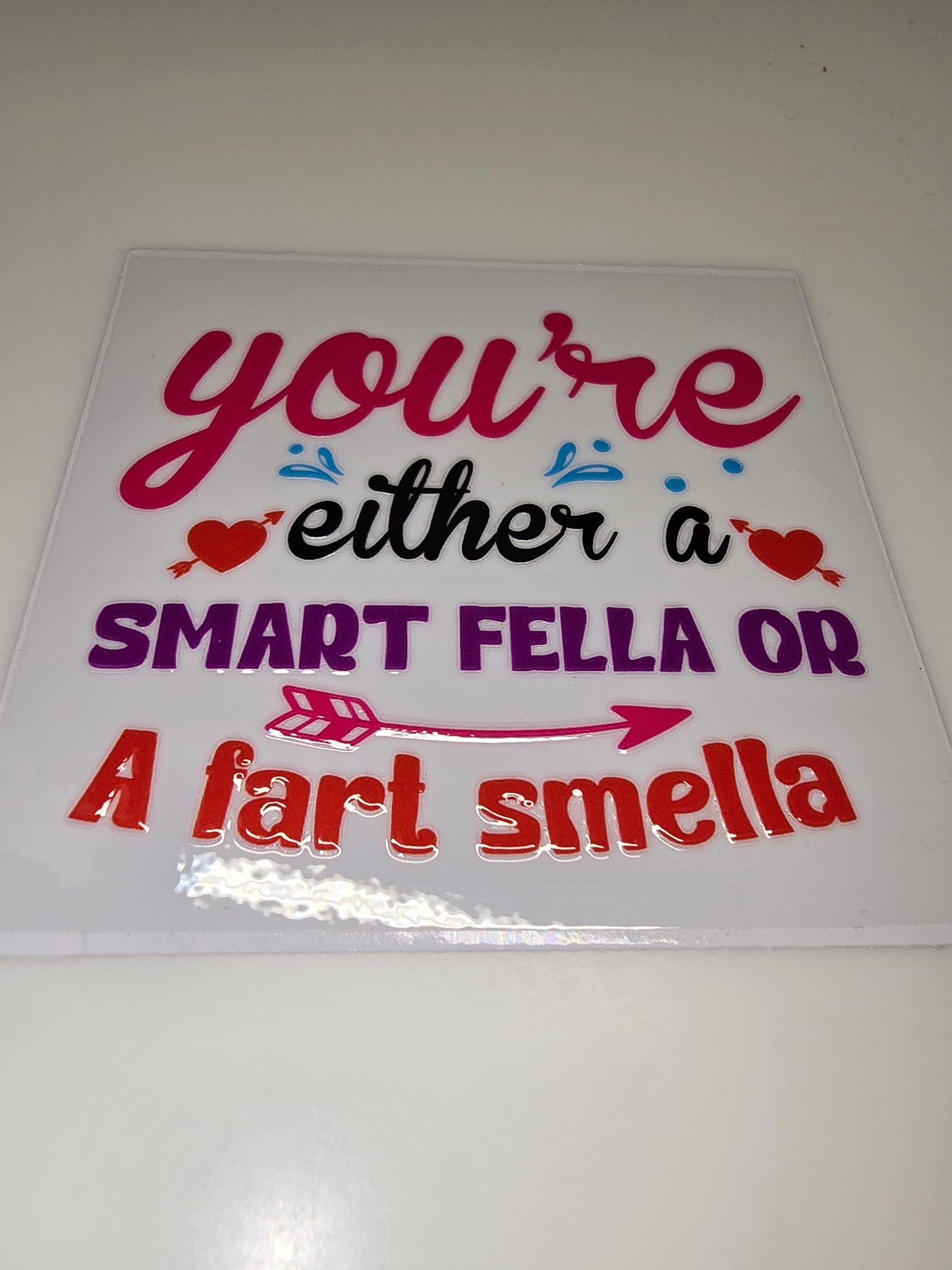 You're either a smart fella or a fart smella