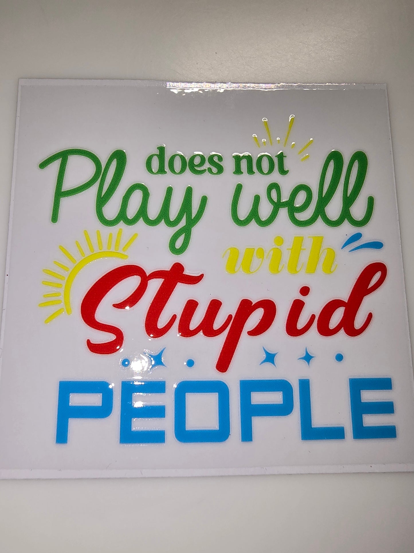Does Not Play Well With Stupid People