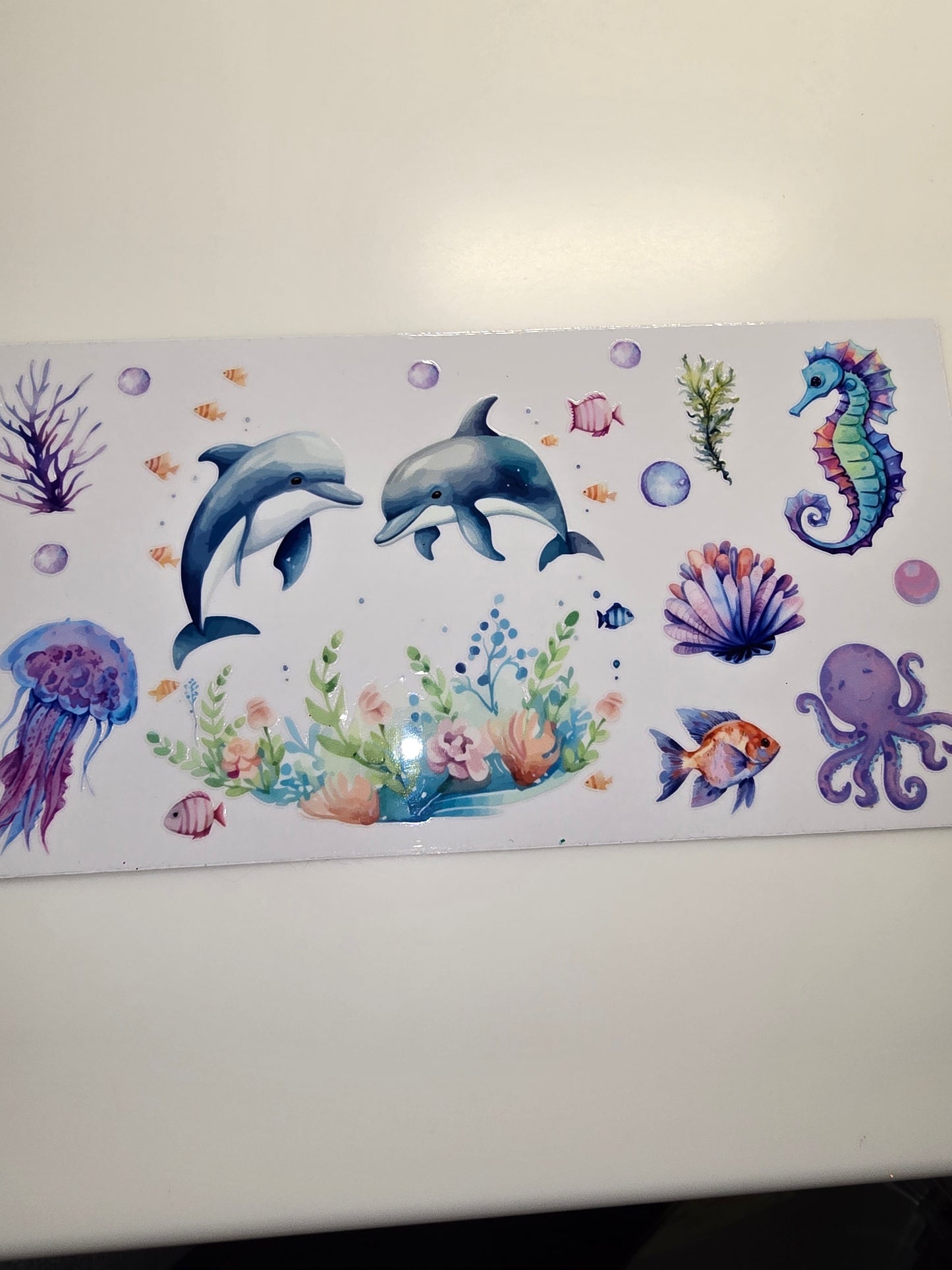 Dolphins 2