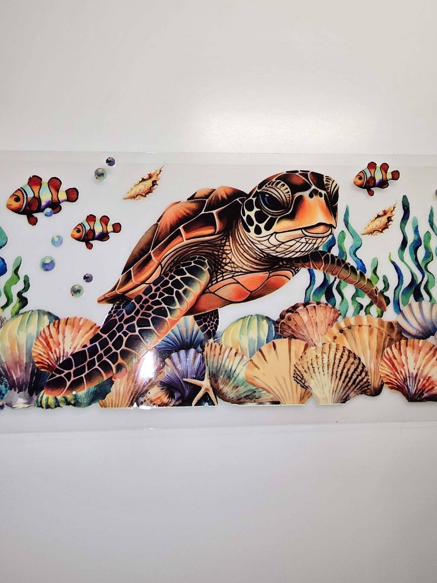 Turtle 6