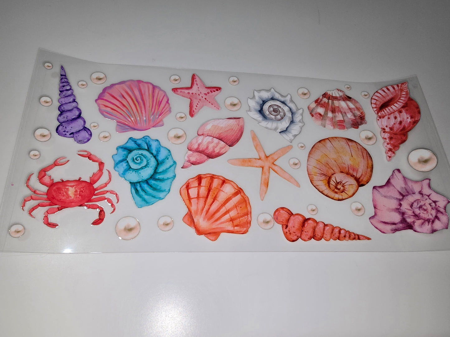Sea Shells