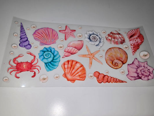 Sea Shells