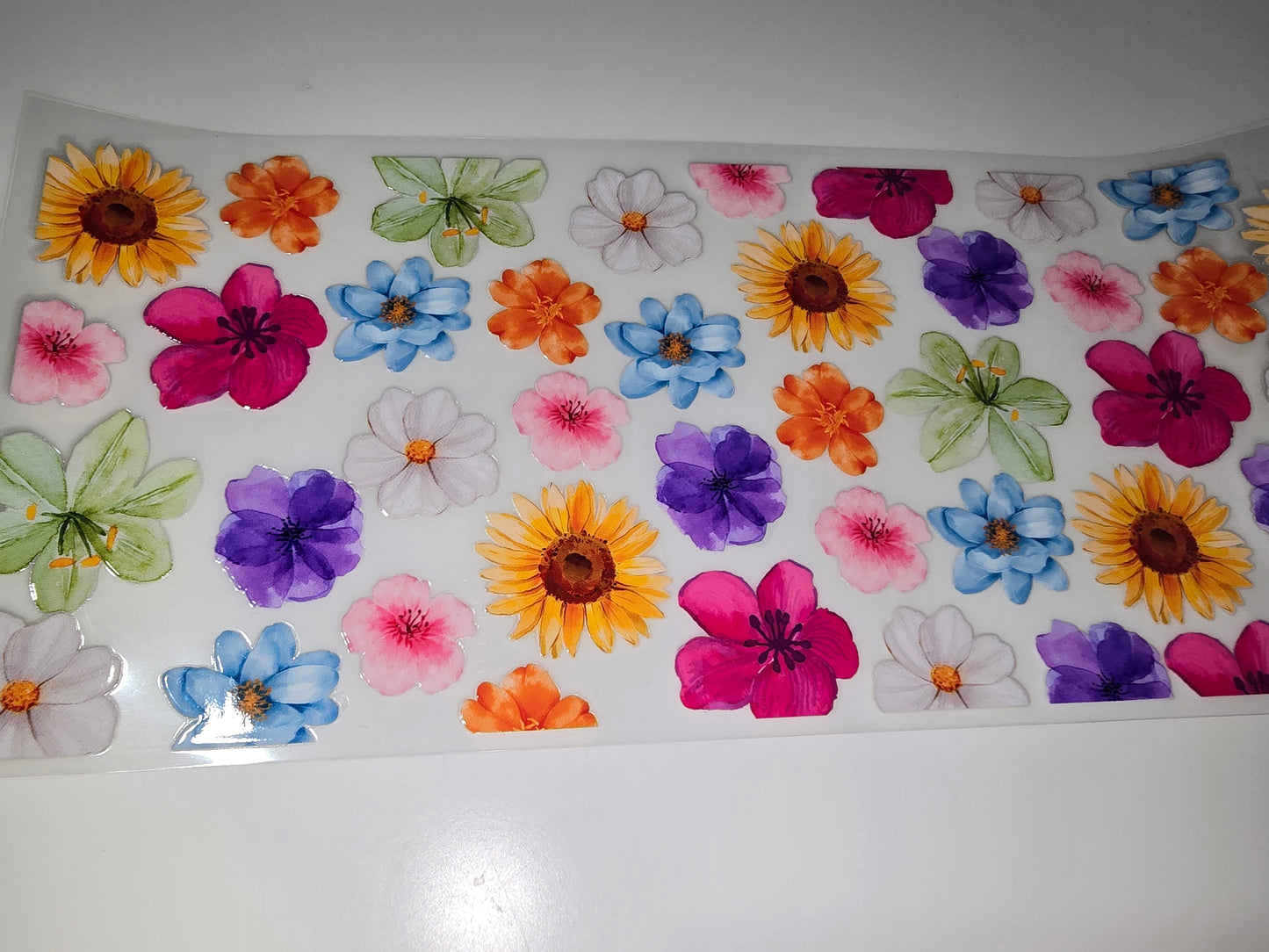 Bright Pretty Flowers