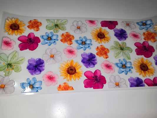 Bright Pretty Flowers