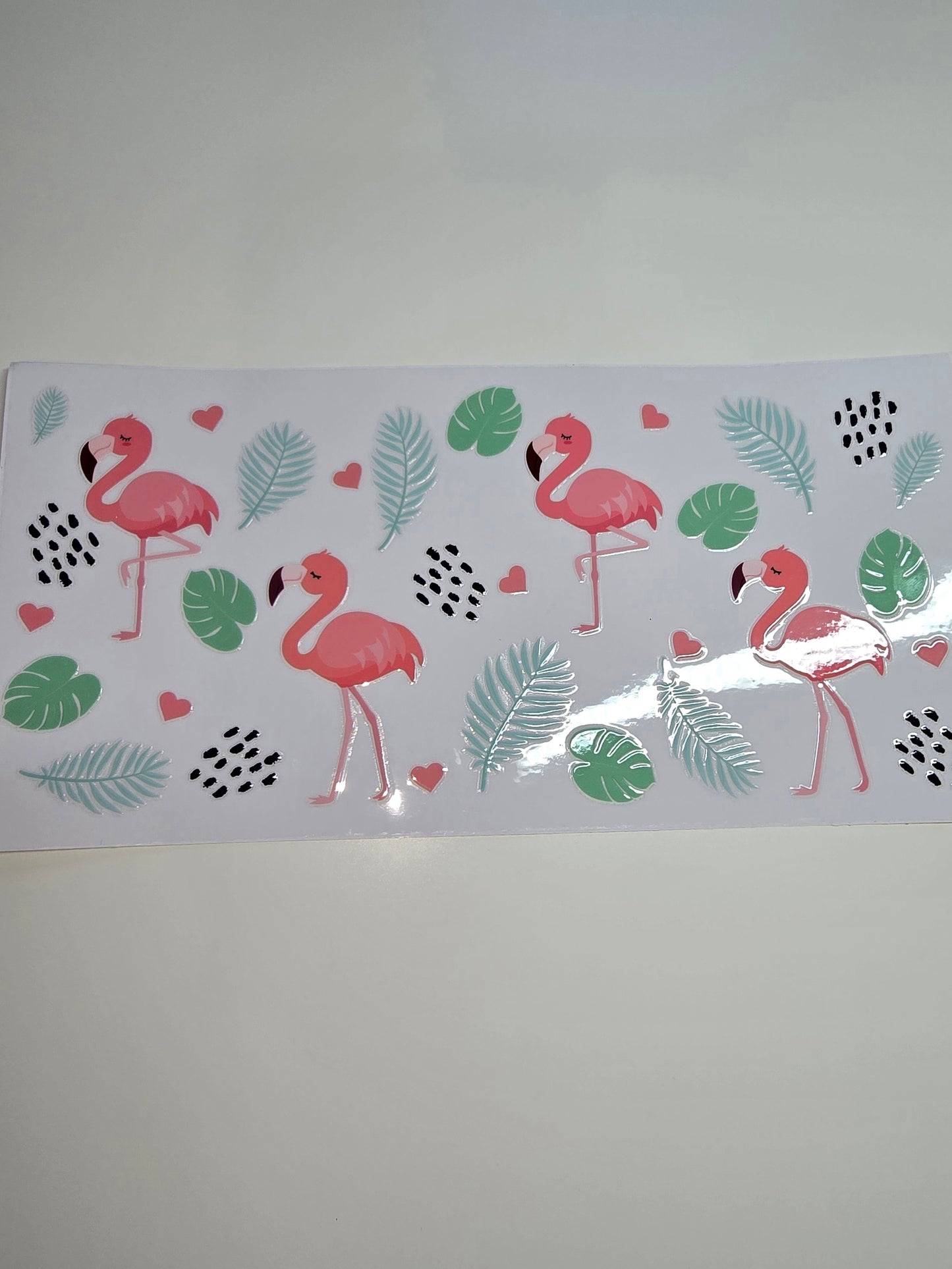 Pink Flamingo, Ferns
