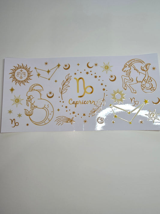 Capricorn