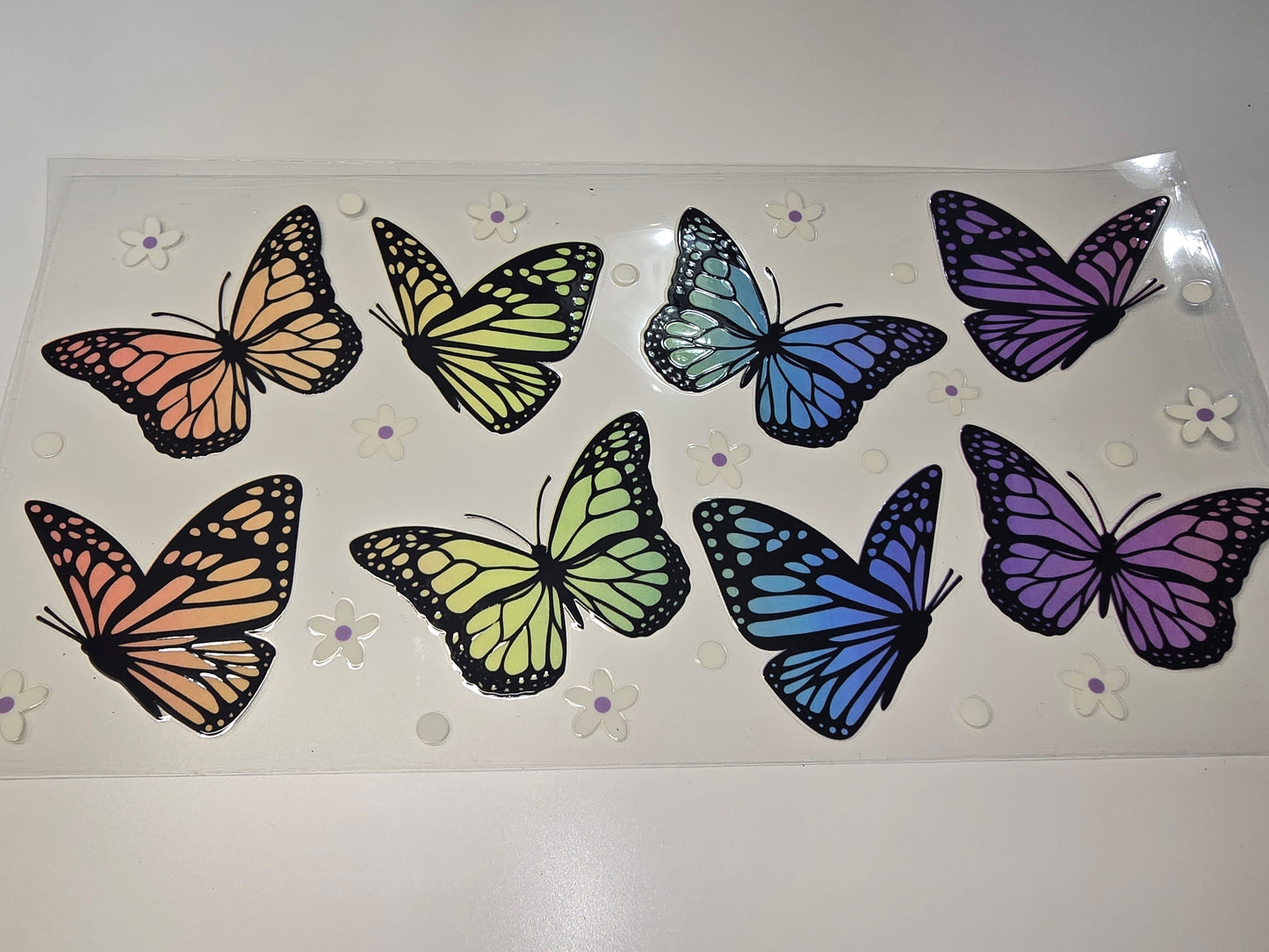 Big, Colorful Butterflies