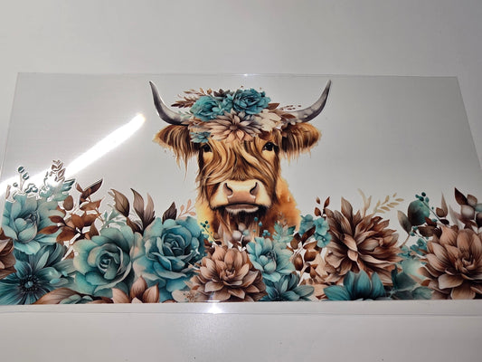 Highland Cow 2