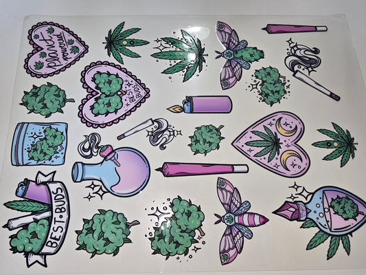 Cannabis