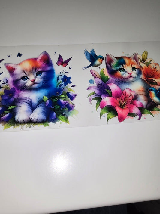 Kittens & Friends