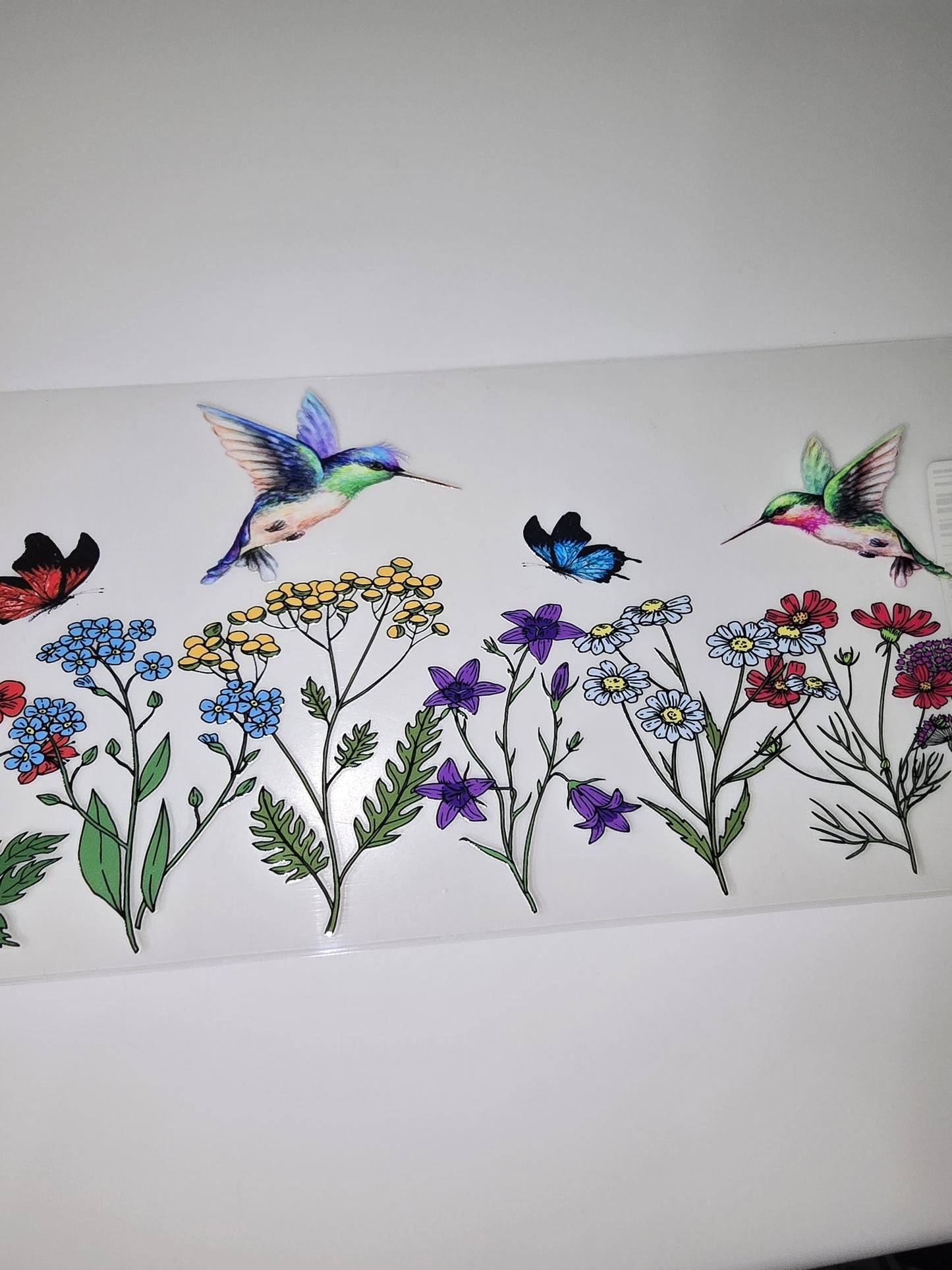 Hummingbirds & Butterflies