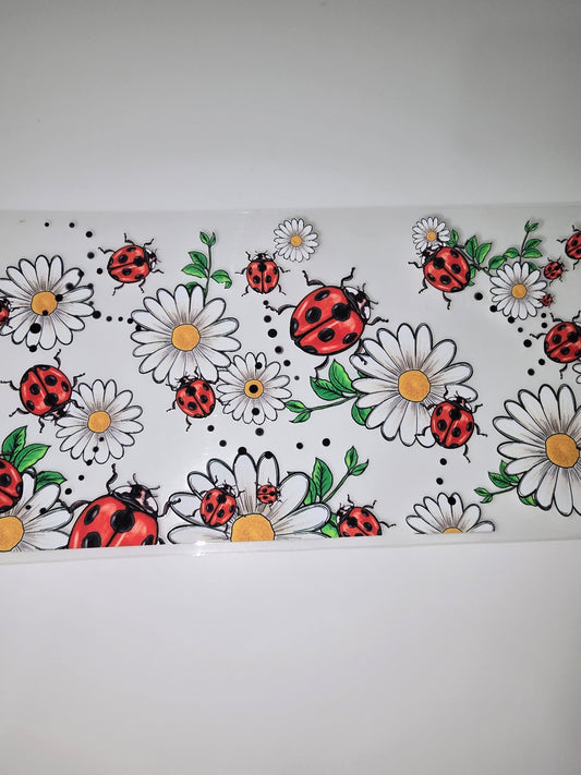 Daisies & Ladybugs