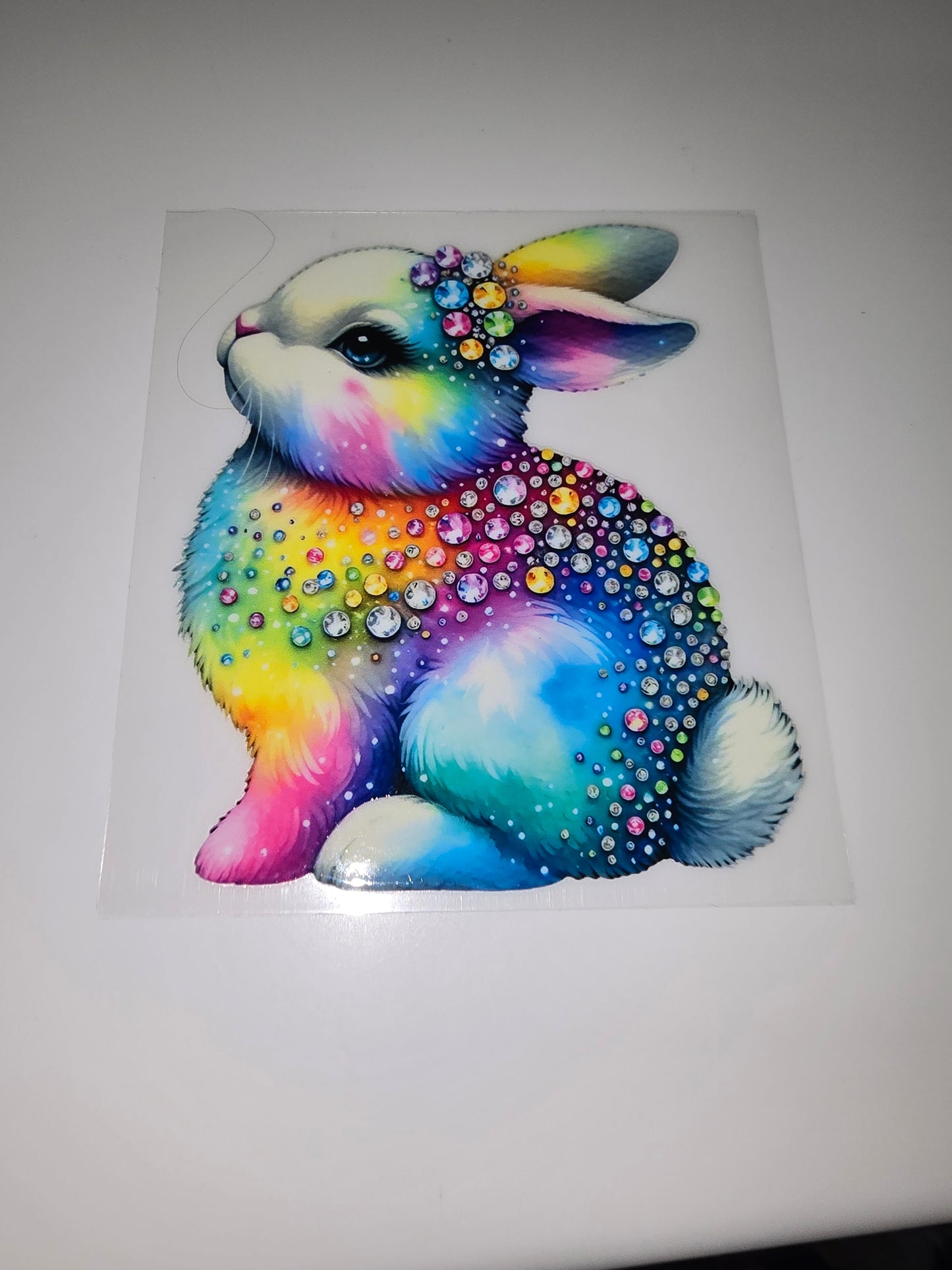 Rainbow Bunny