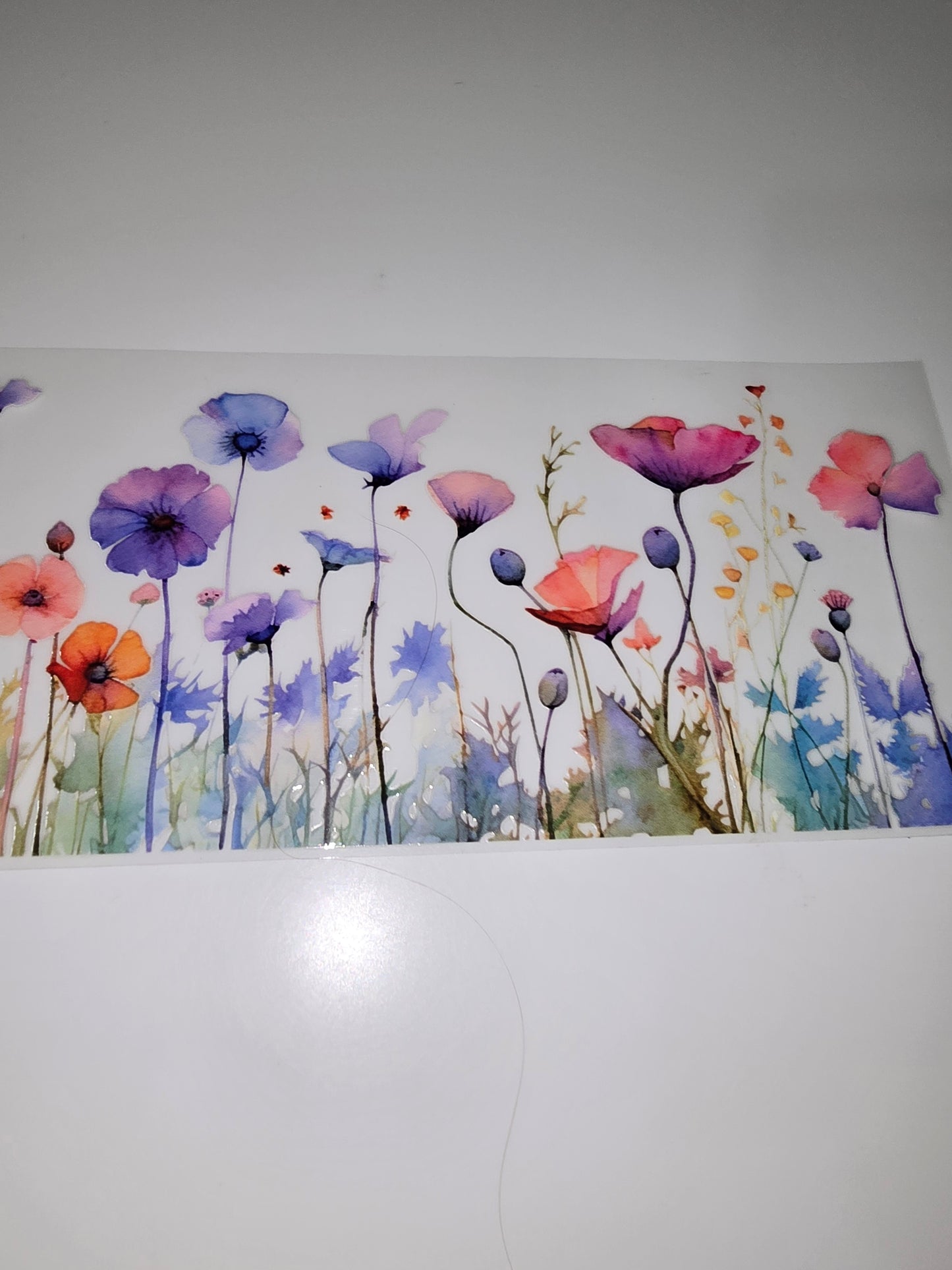 Watercolor wildflower 5