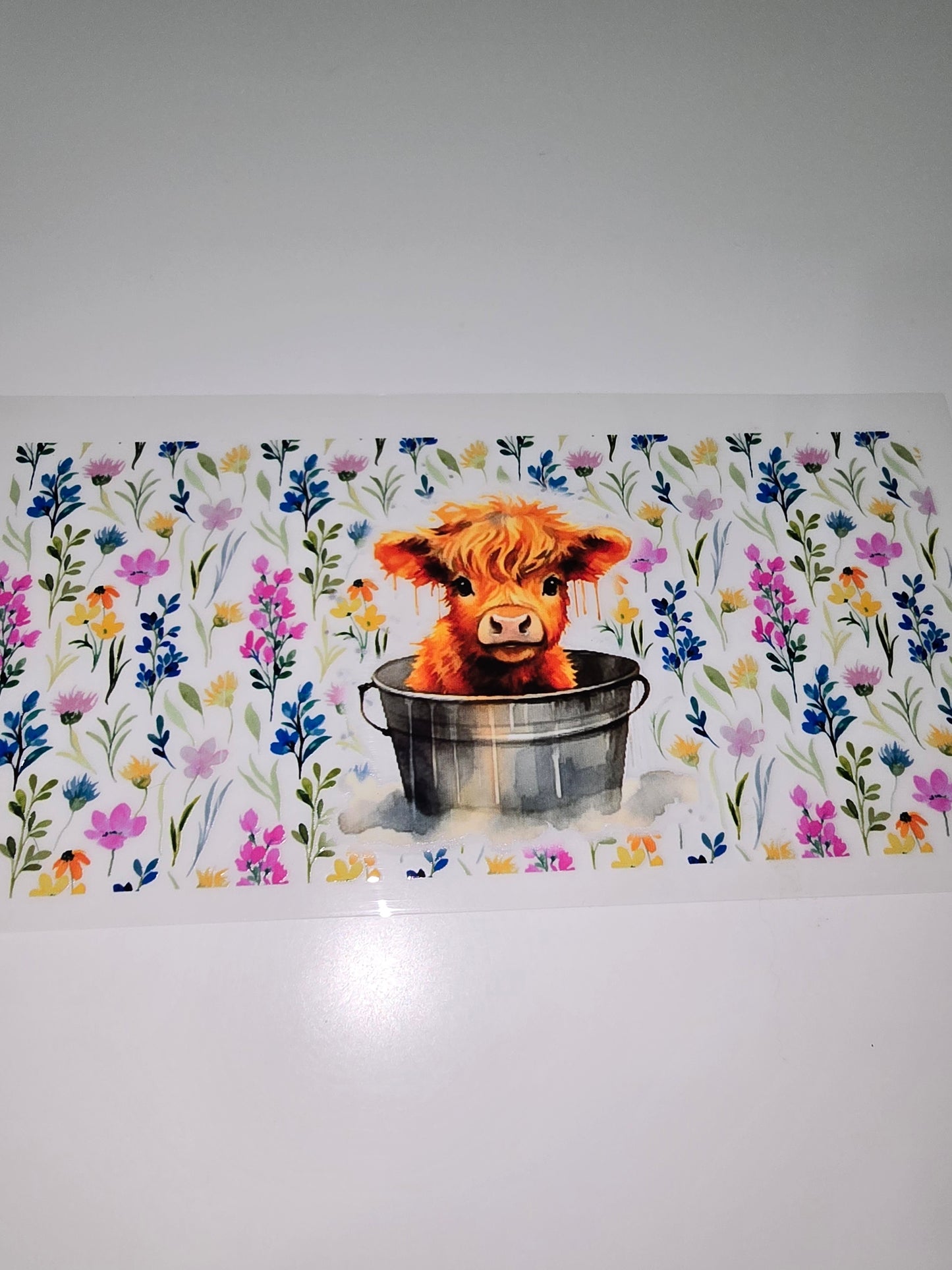Mini Highland Cow