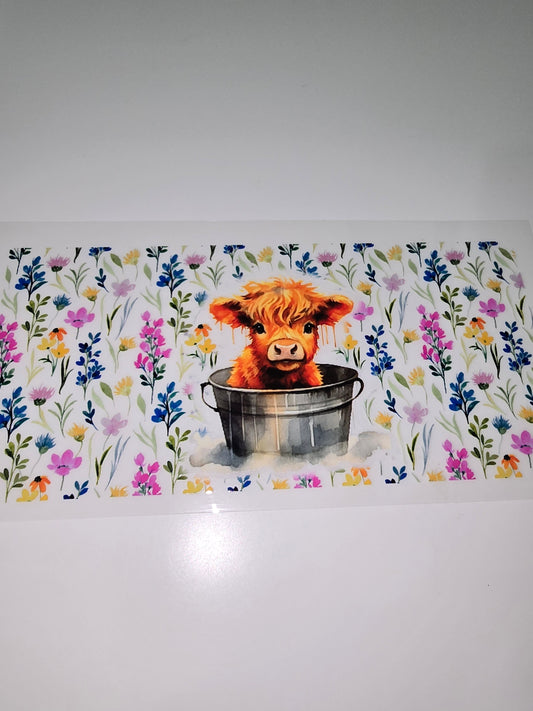 Mini Highland Cow