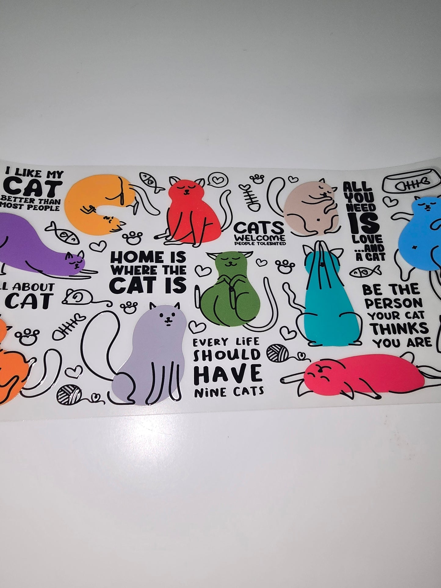 Home is where my cat is