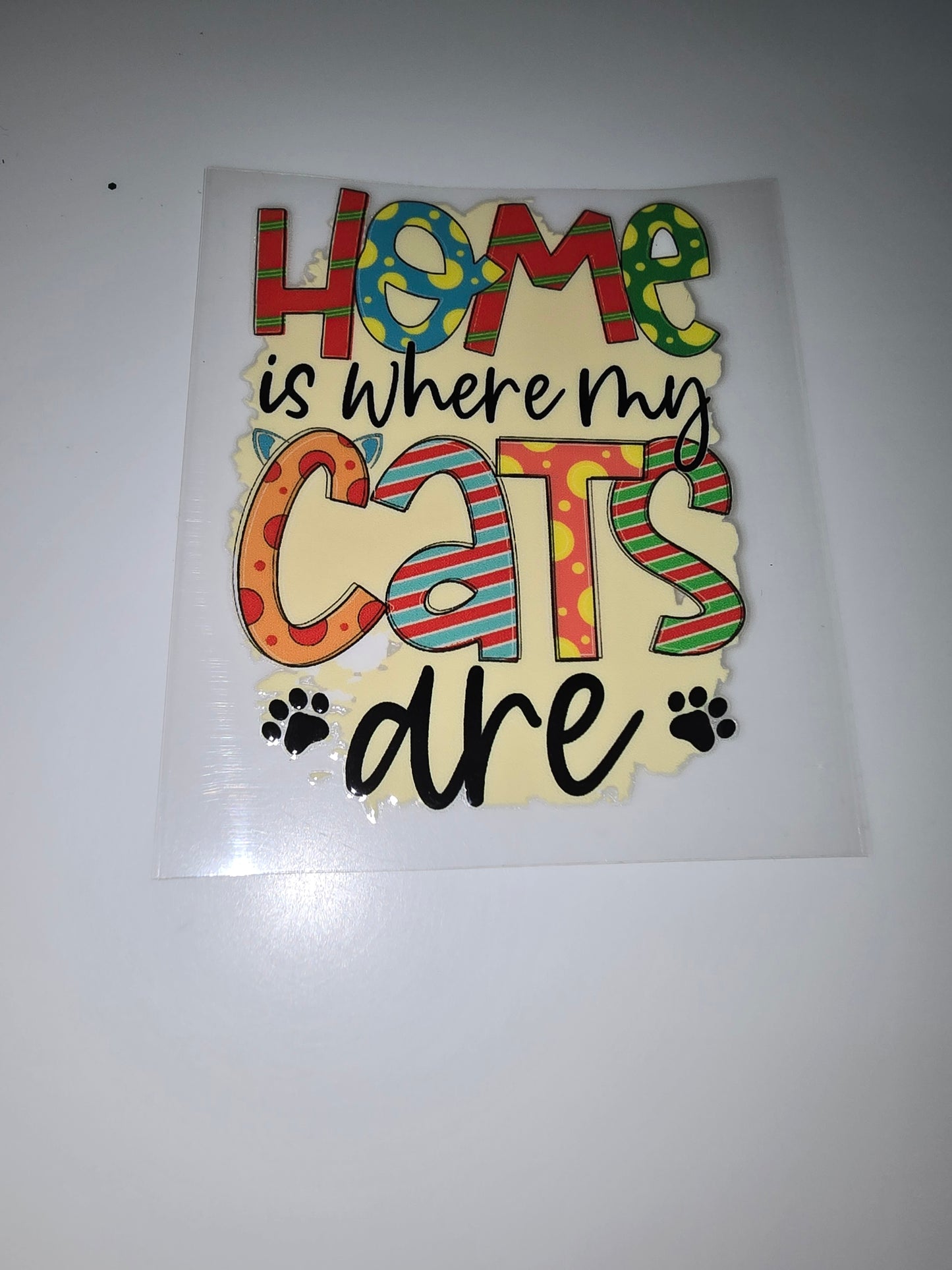 Home is where my cats are