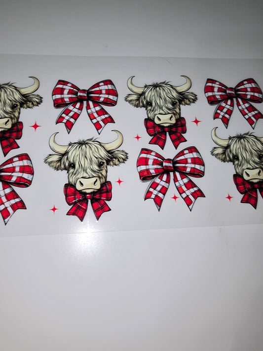Cows & Bows