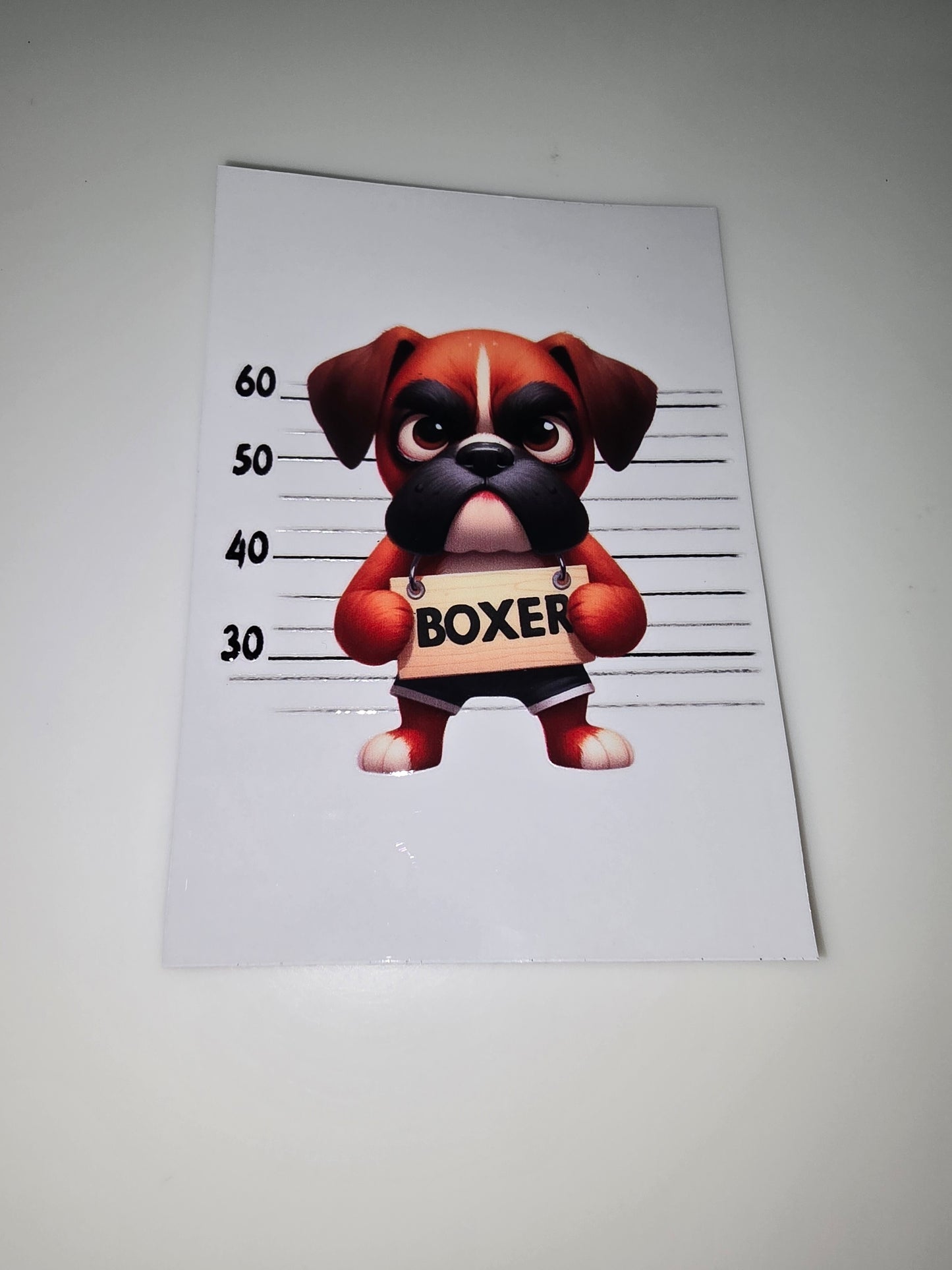 Boxer mug shot