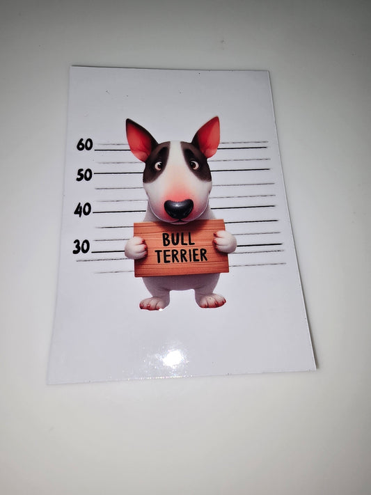 Bull Terrier mug shot