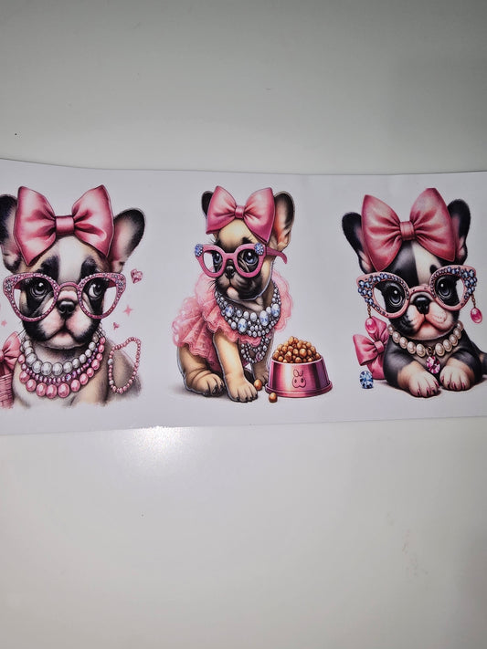 Fancy Frenchies 4