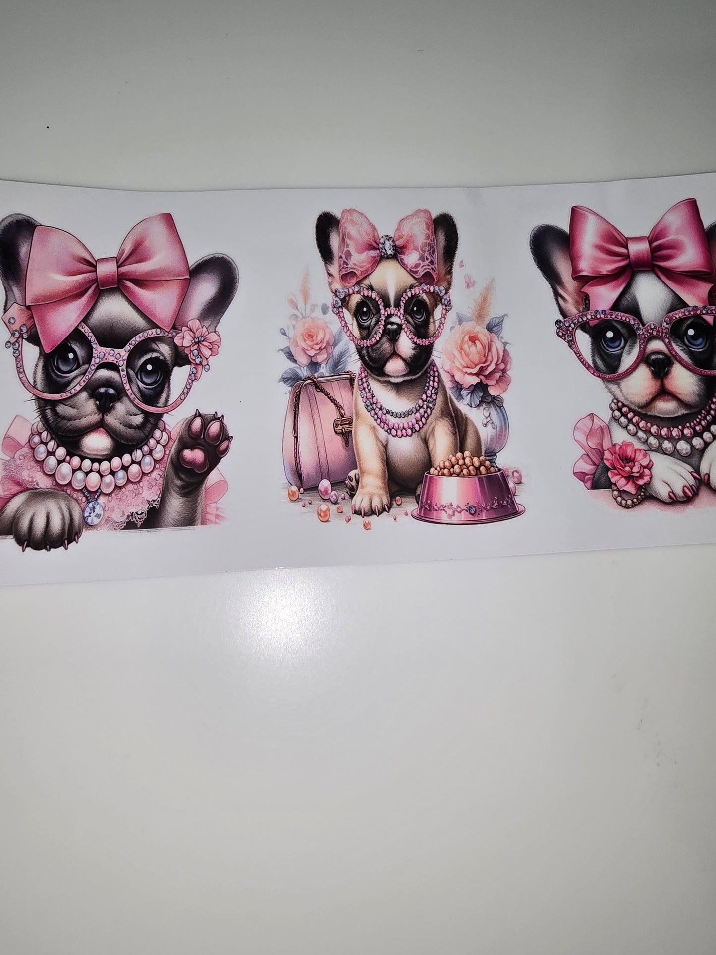 Fancy Frenchies 3